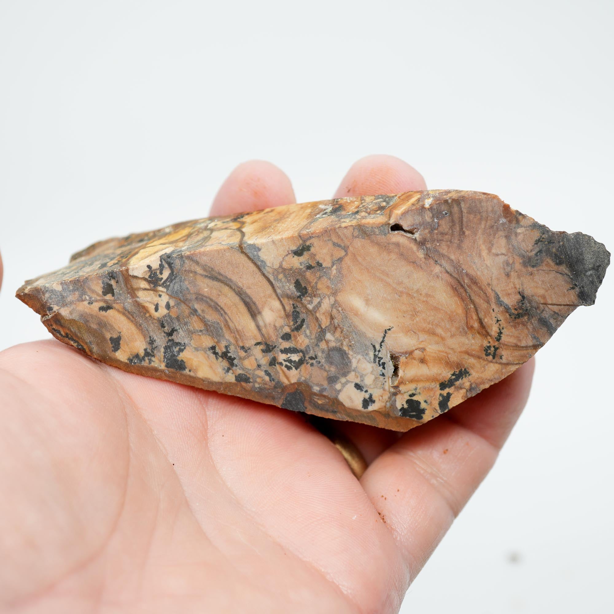 Biggs Blue Picture Jasper Endcut - Rolling Hills with Dendrites