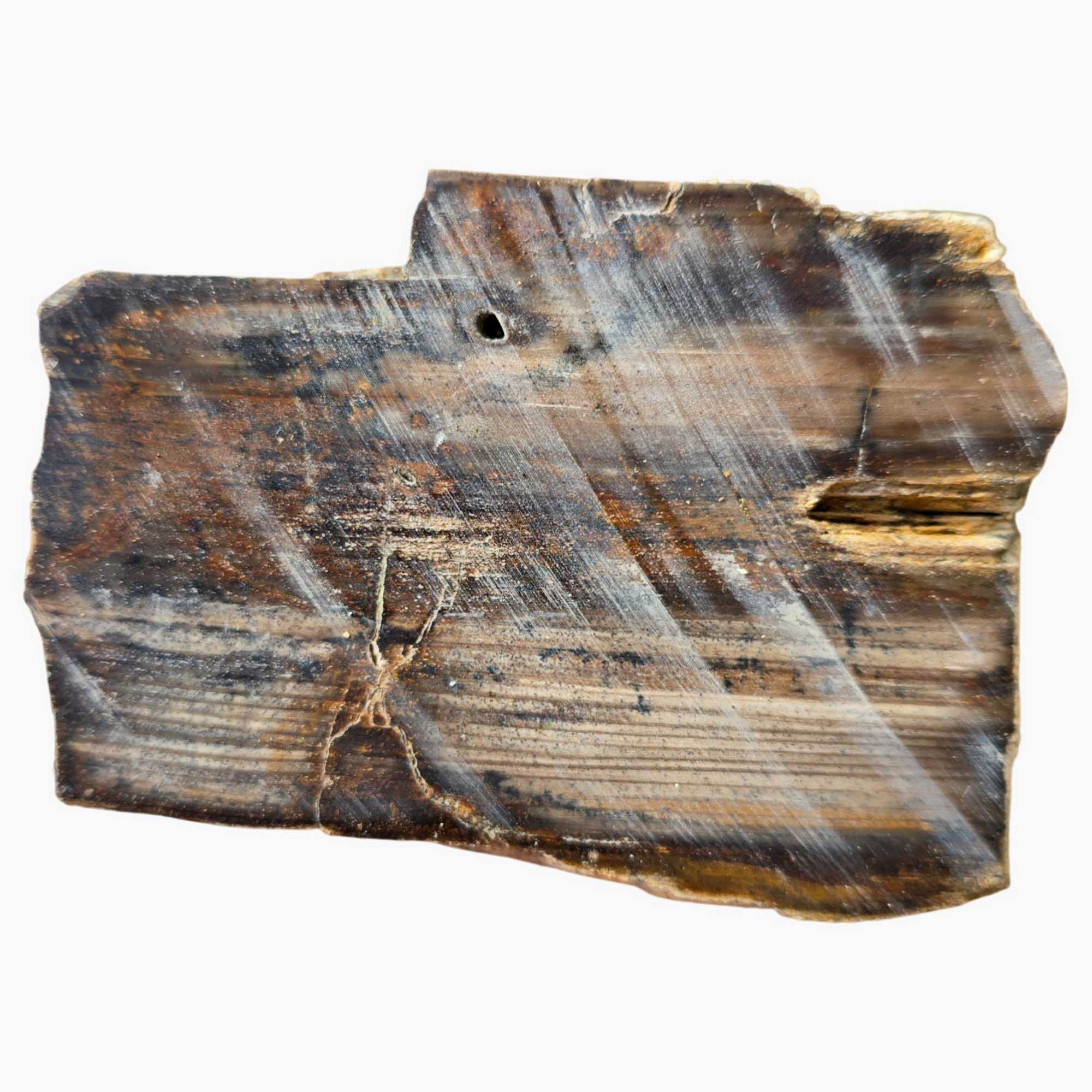 Mystery Stone Slab Dry – Rustic Wood Grain Pattern Pacific Northwest Petrified #3649-Photo4
