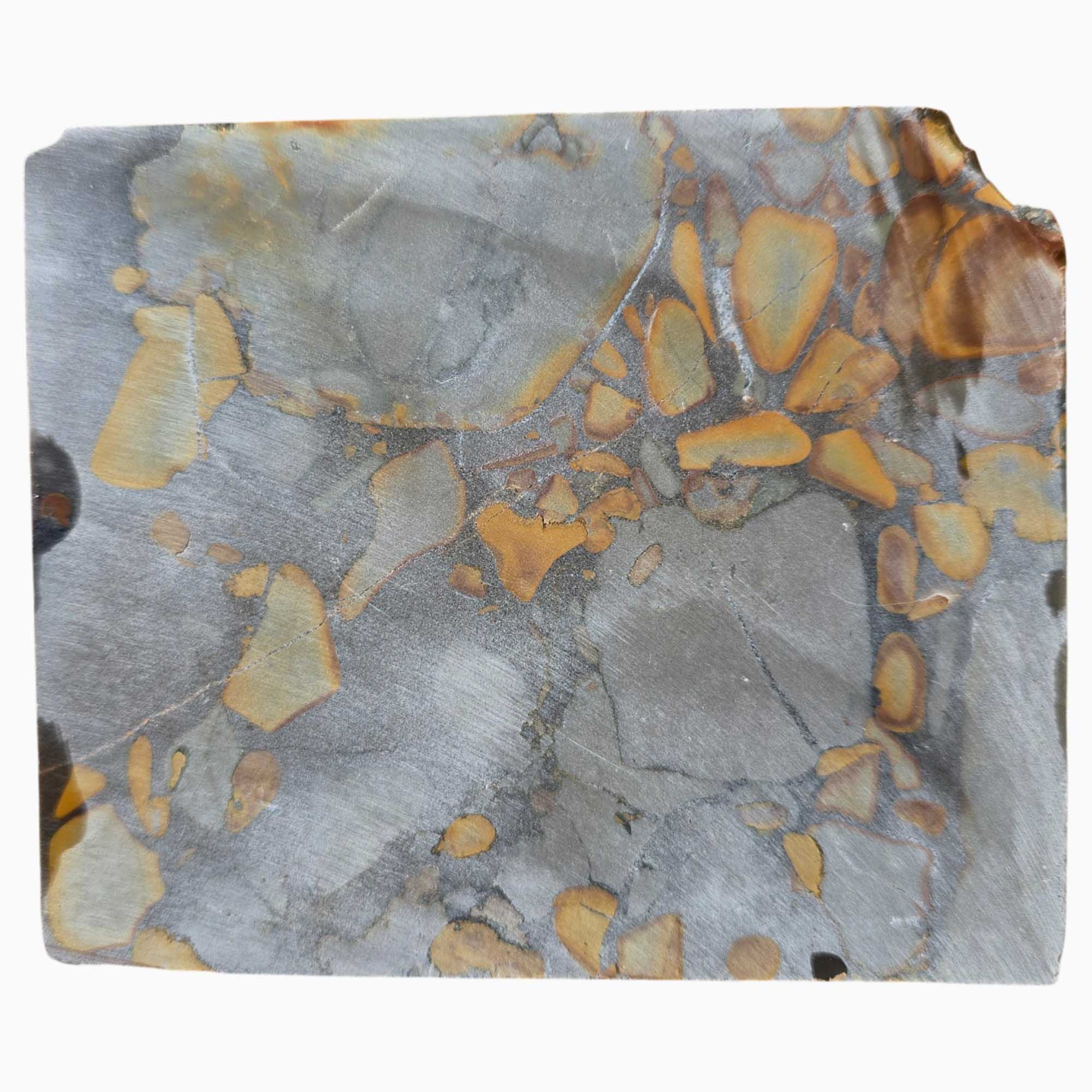 Bamboo Jasper Slab – Classic Bamboo Pattern – Indonesian Conglomerate