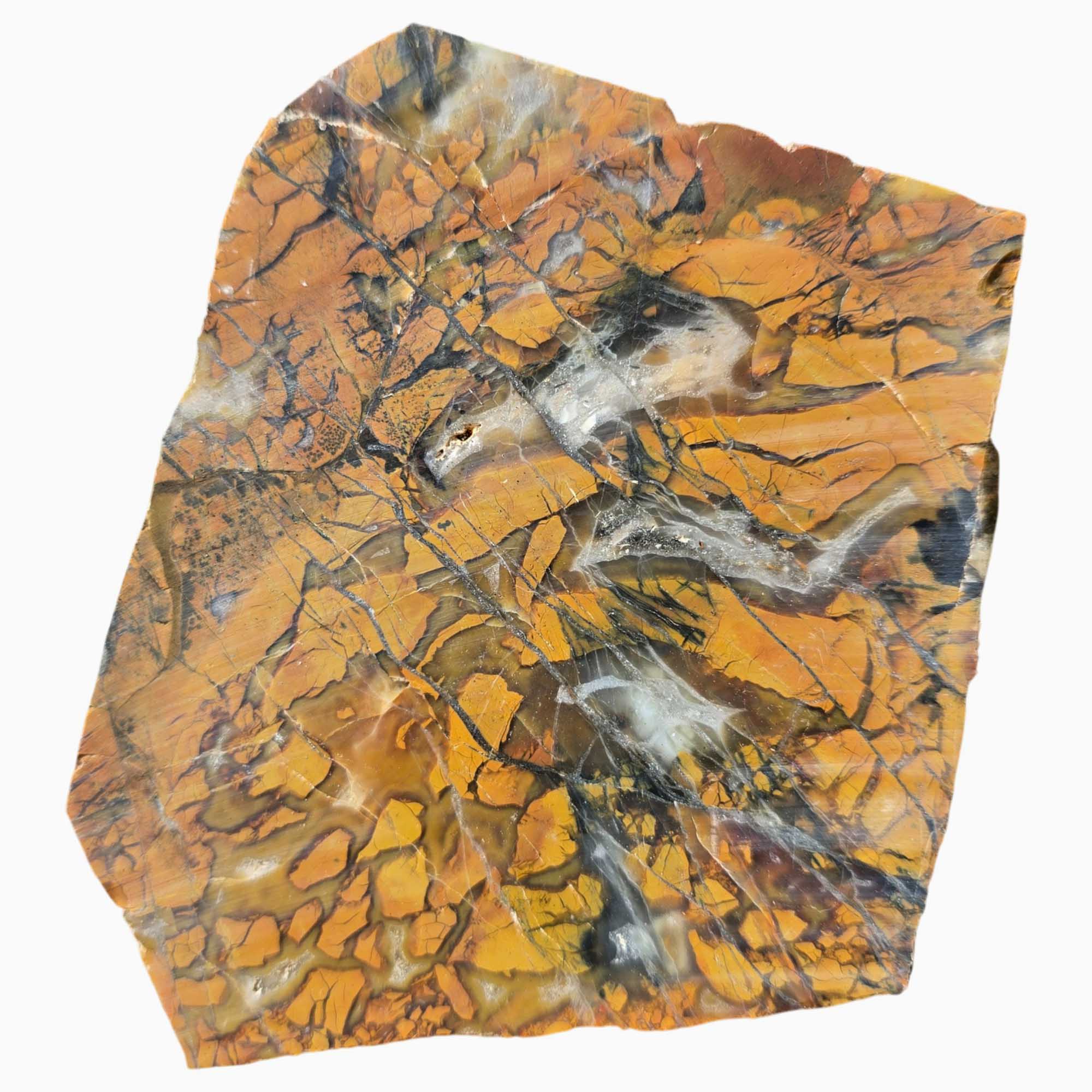 Stone Canyon Jasper Slab – Brecciated Pattern Colors – California 102mm