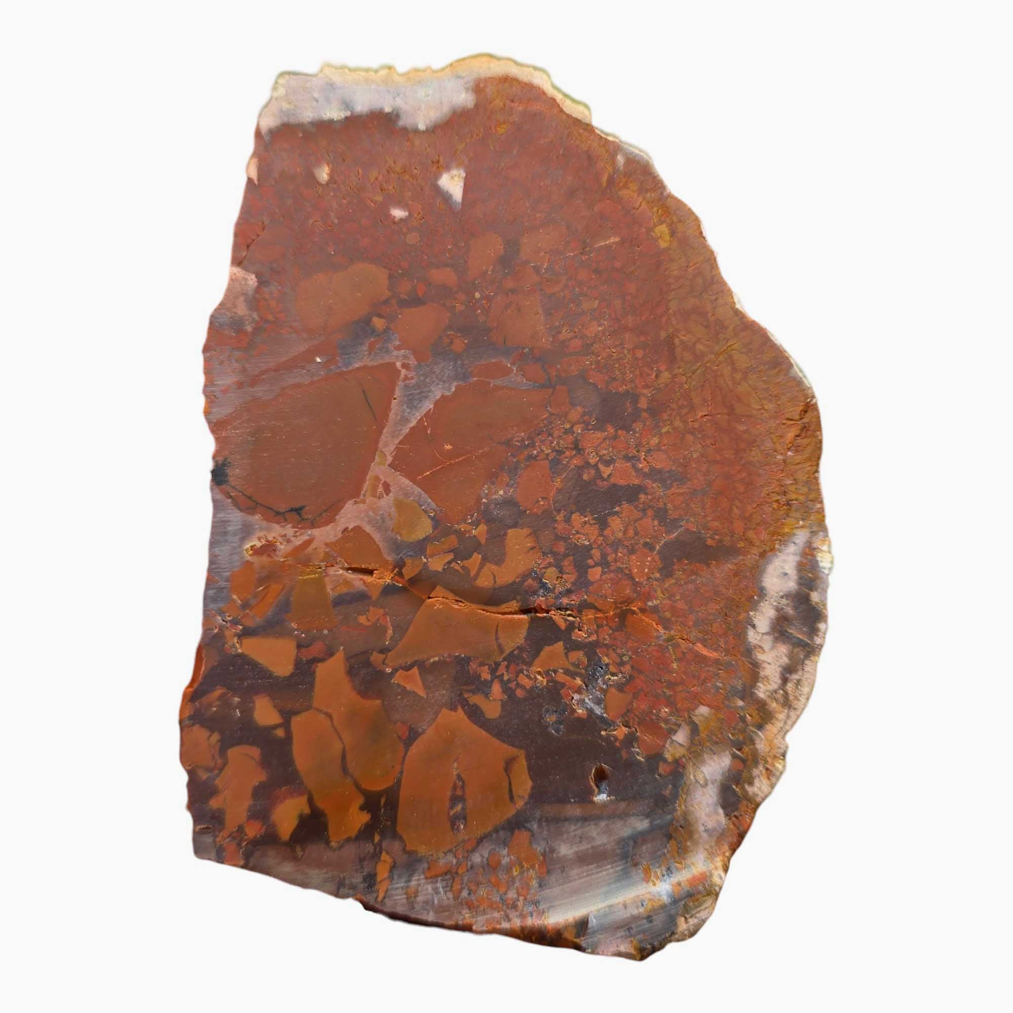 Rare Whisky Creek Brecciated Jasper Lapidary Cutting Rough Chunk Stone Cut Face