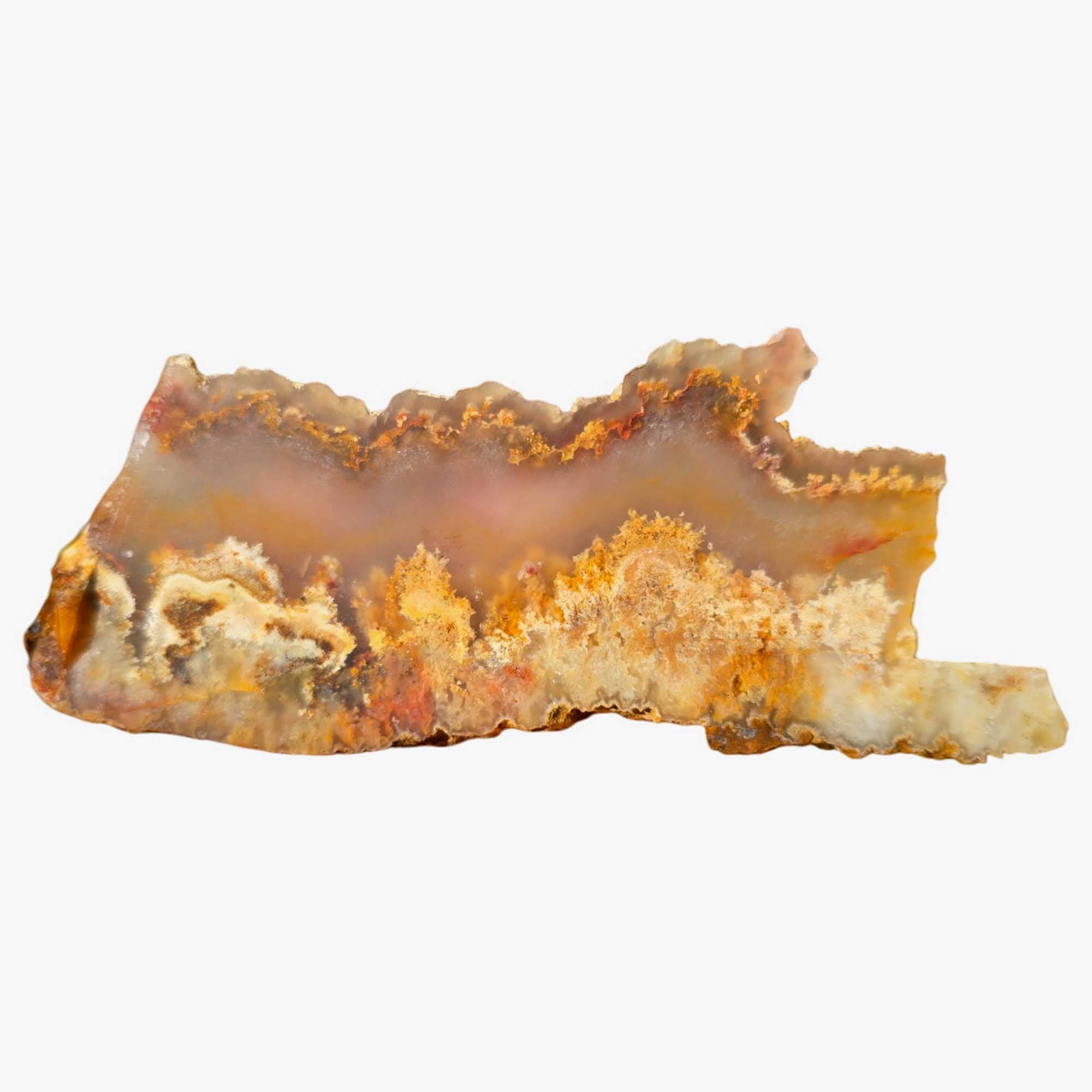 Regency Rose Plume Agate Slab Old Stock Graveyard Point Red Plume Agate