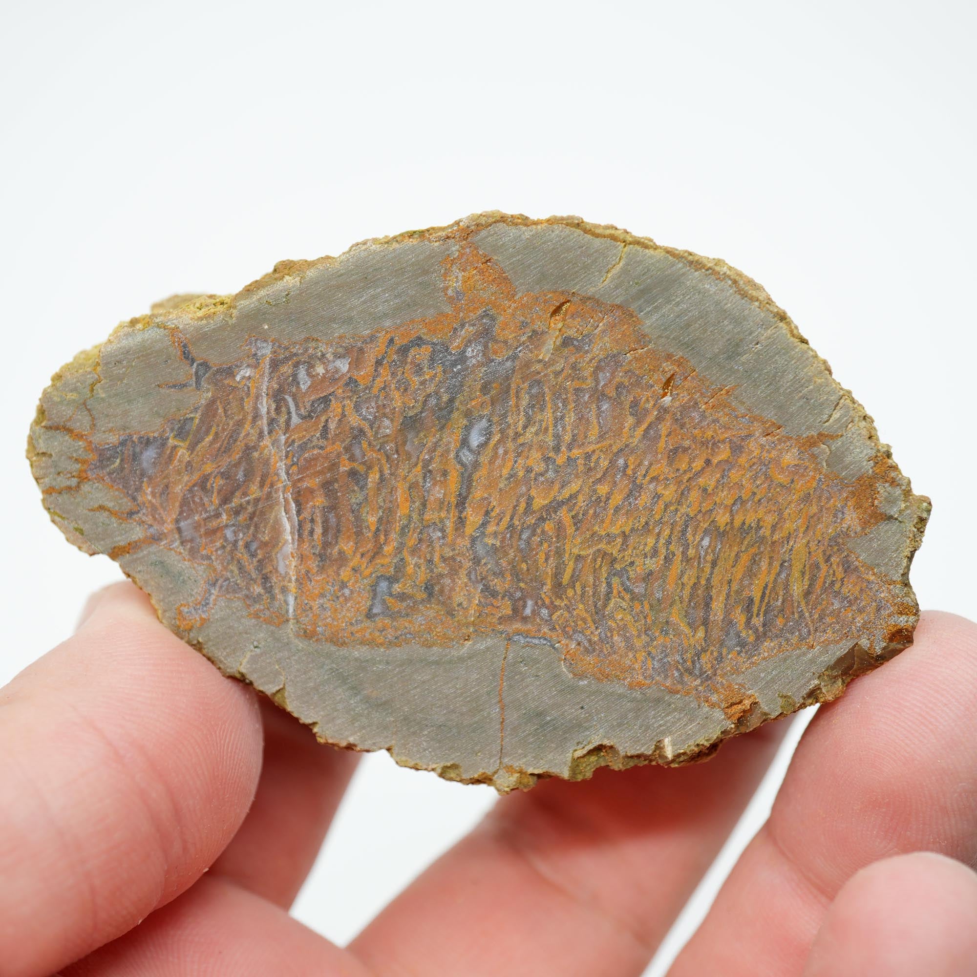 Priday Moss Bed Thunderegg Cut and Proven - Bright Orange Stick Moss