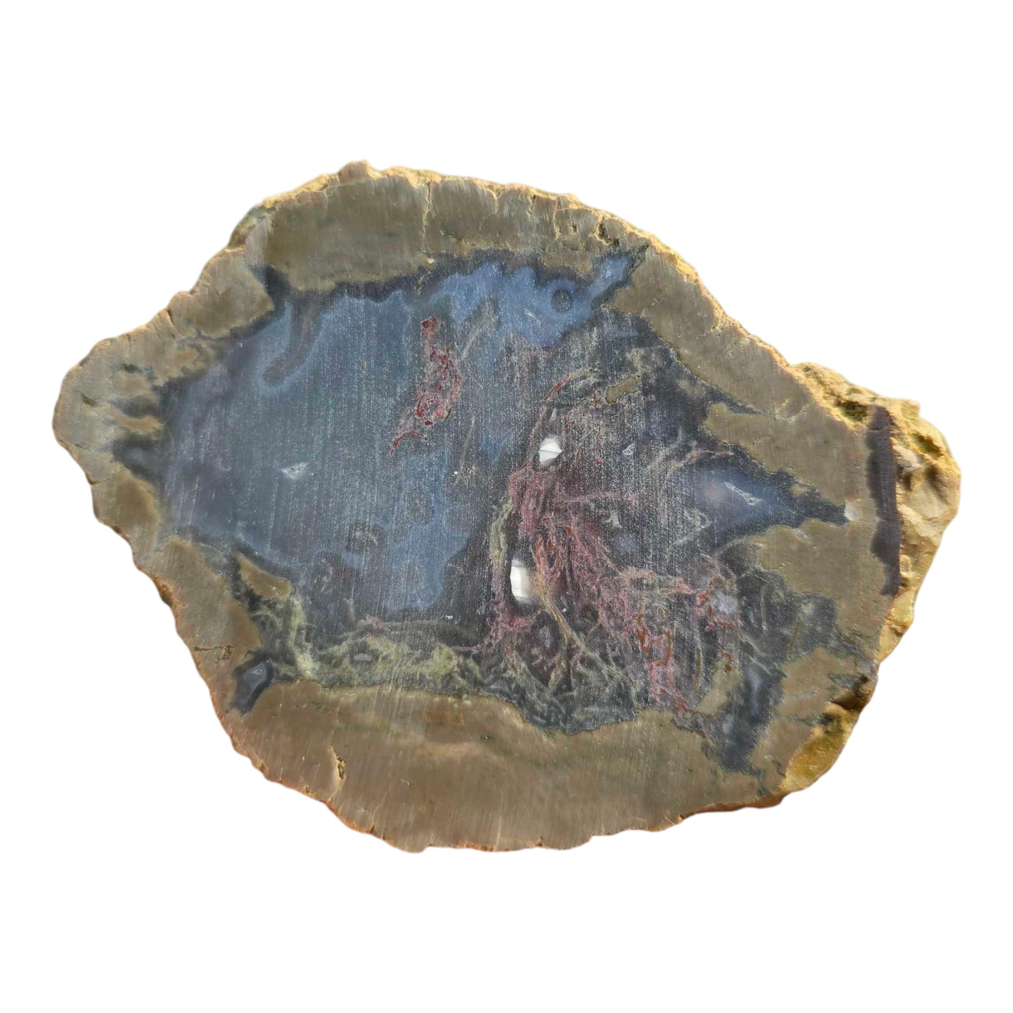 Moss Bed Thunderegg – Cut & Proven with Rare Red and Pink Moss