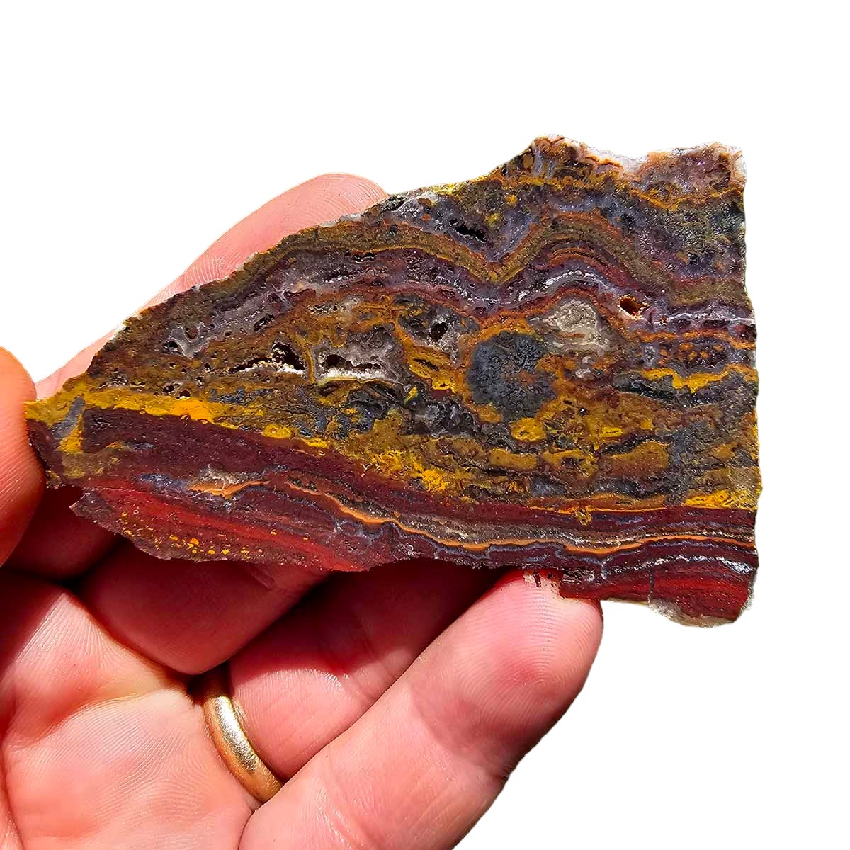 Apple Valley Jasper Slab!  Fossil Stromatolite Slab!