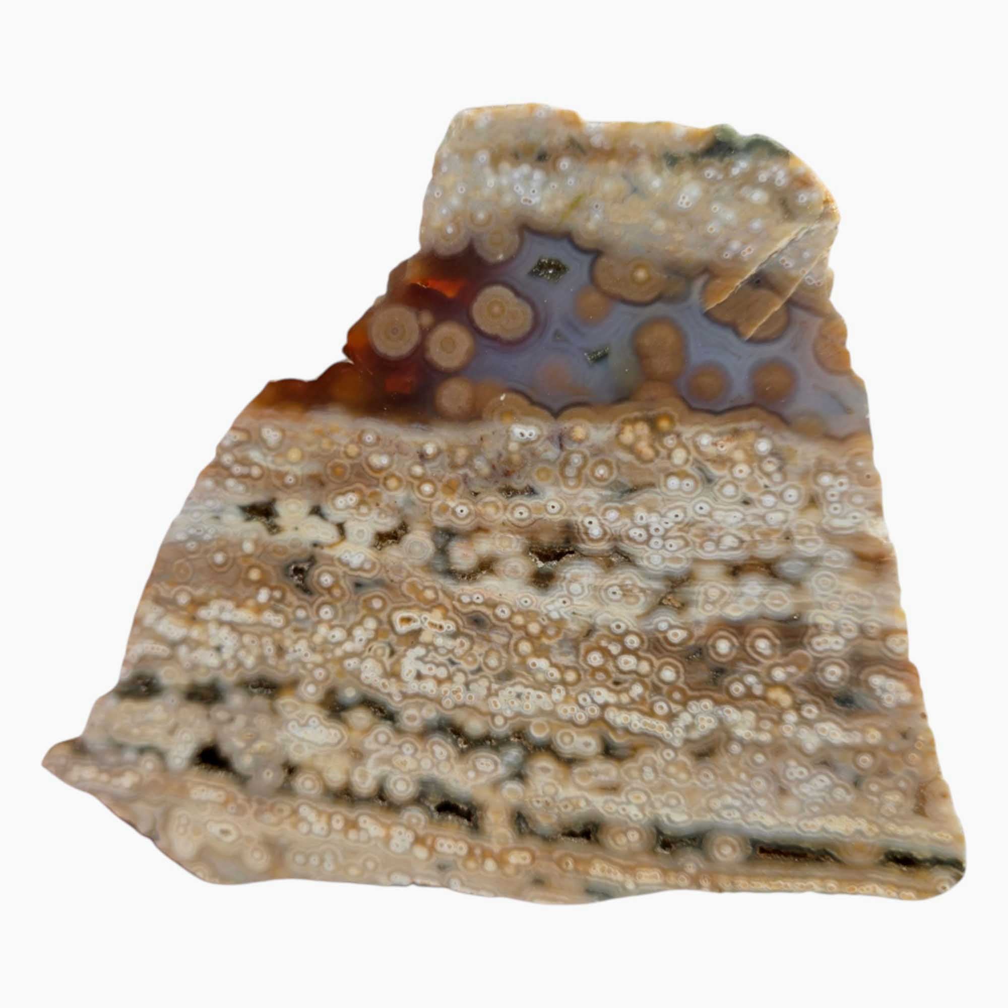 Old Stock Ocean Jasper Slab – Poppy Style Orbs & Pre-2000s Vein
