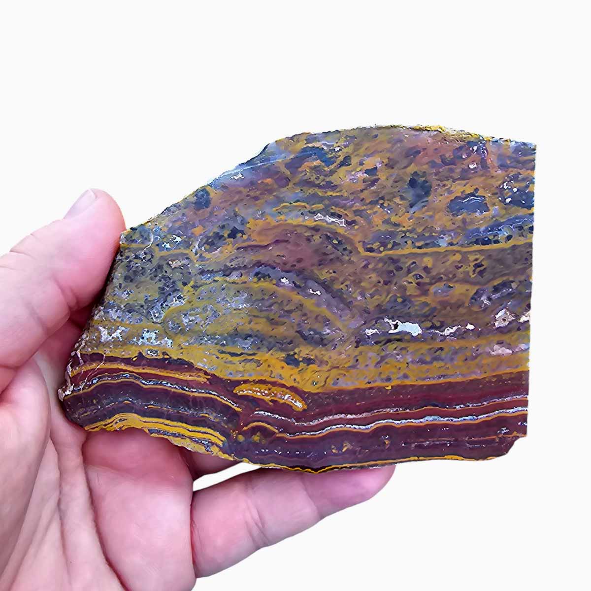 Apple Valley Jasper Slab  Fossil Stromatolite Slab