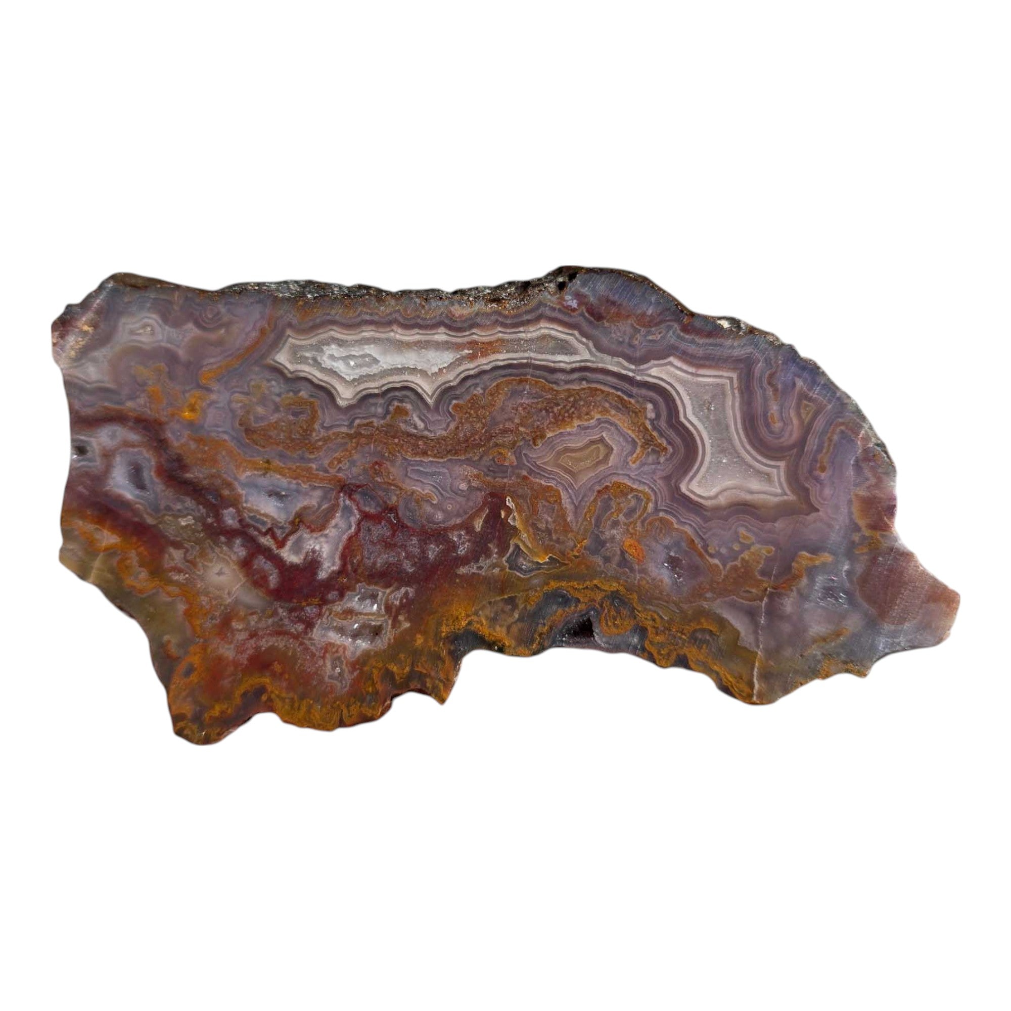 Agua Nueva Agate – Blue Fortification with Moss for Lapidary or Display