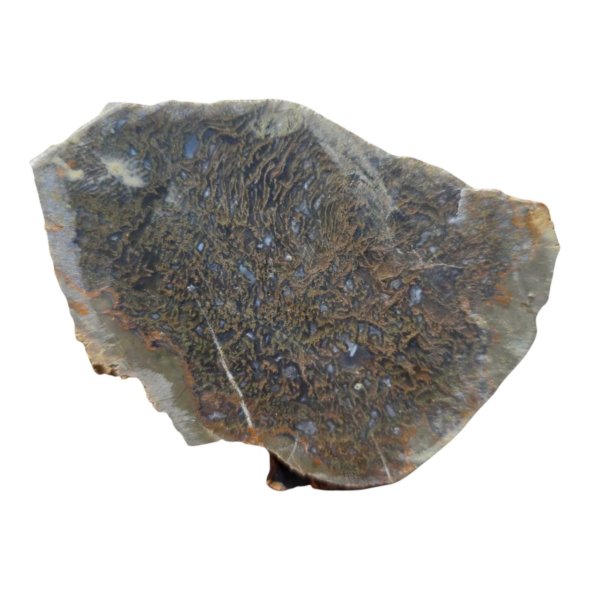 Priday Moss Bed Egg Rough Chunk Lapidary Stone Cut Face