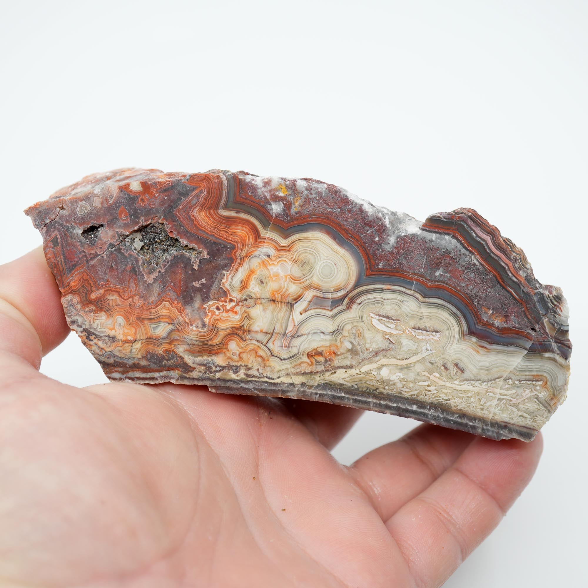 Laguna Lace Agate Endcut - Red White Green Lace with Tubes