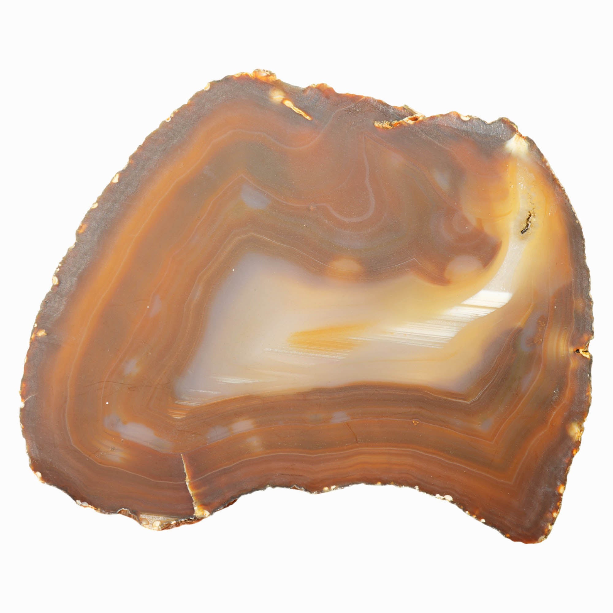 Brazilian Agate Slab Dry - Waterline Pattern Banding Fortification Tube #4006-6