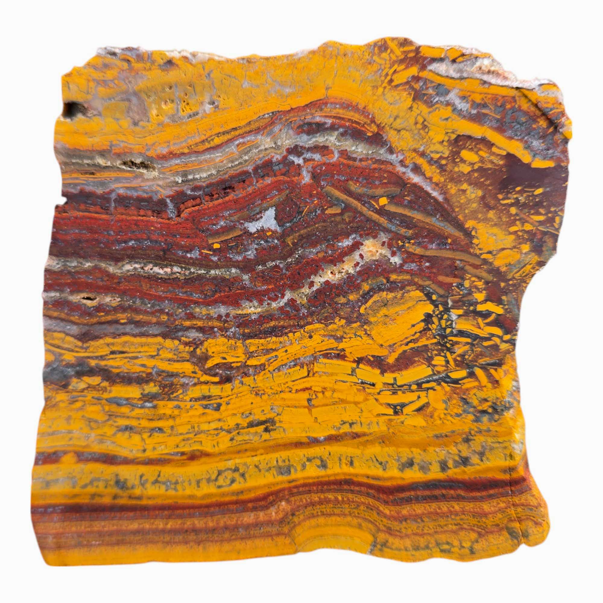 Apple Valley Jasper – Fossil Stromatolite from Morocco with Unique Patterning