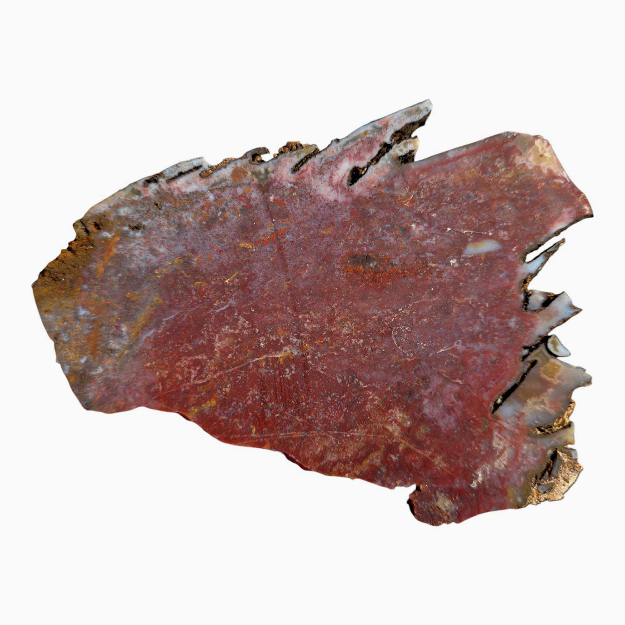 Agua Nueva Agate Slab Lapidary Stone Slice Cut Rock