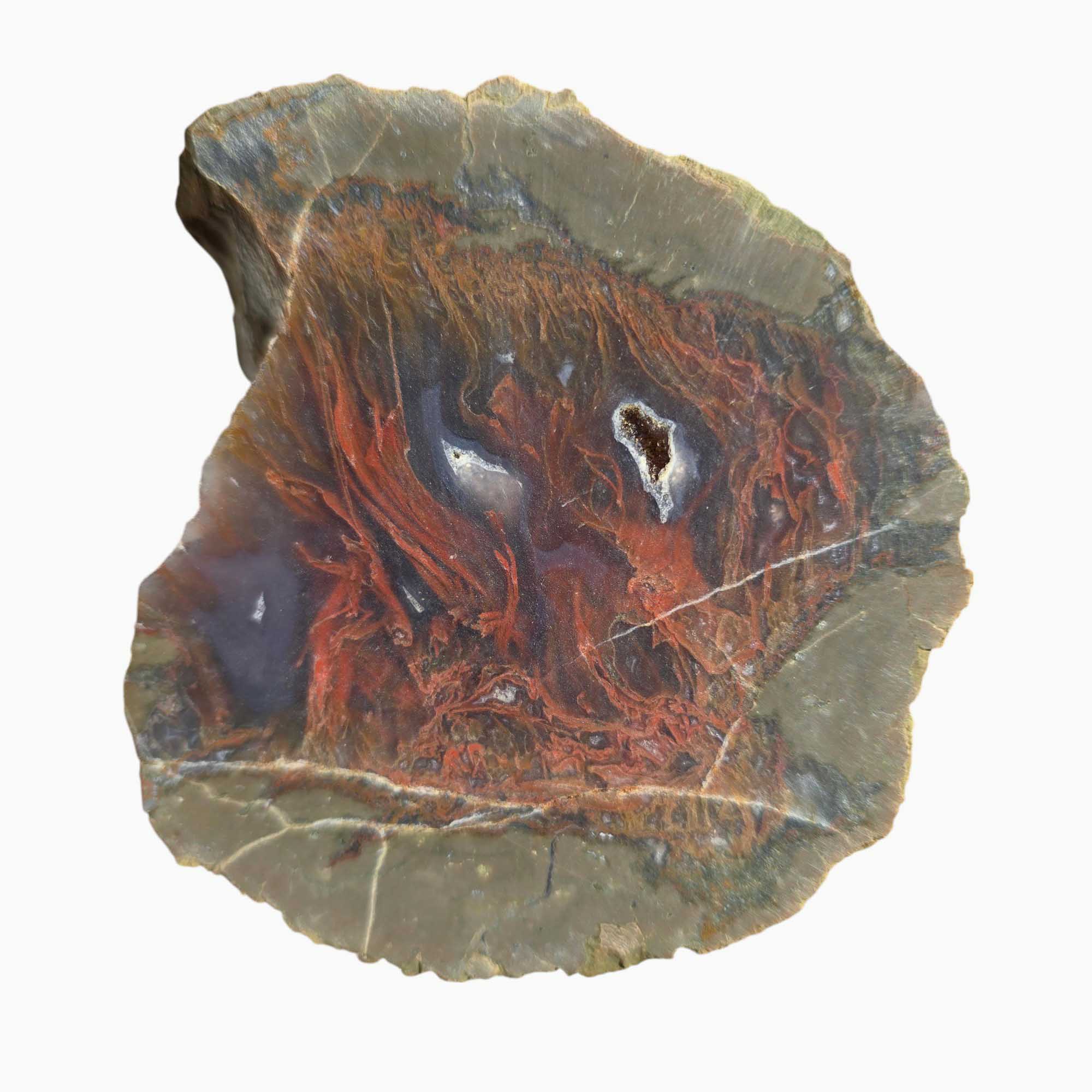 Priday Moss Bed Egg Rough Chunk Lapidary Stone Cut Face