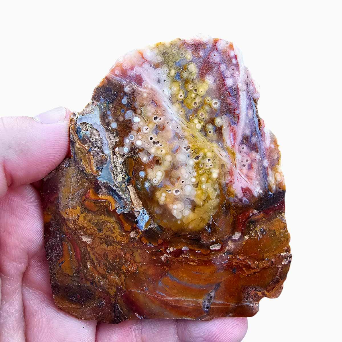 Old Stock Ocean Jasper Lapidary Stone Slab