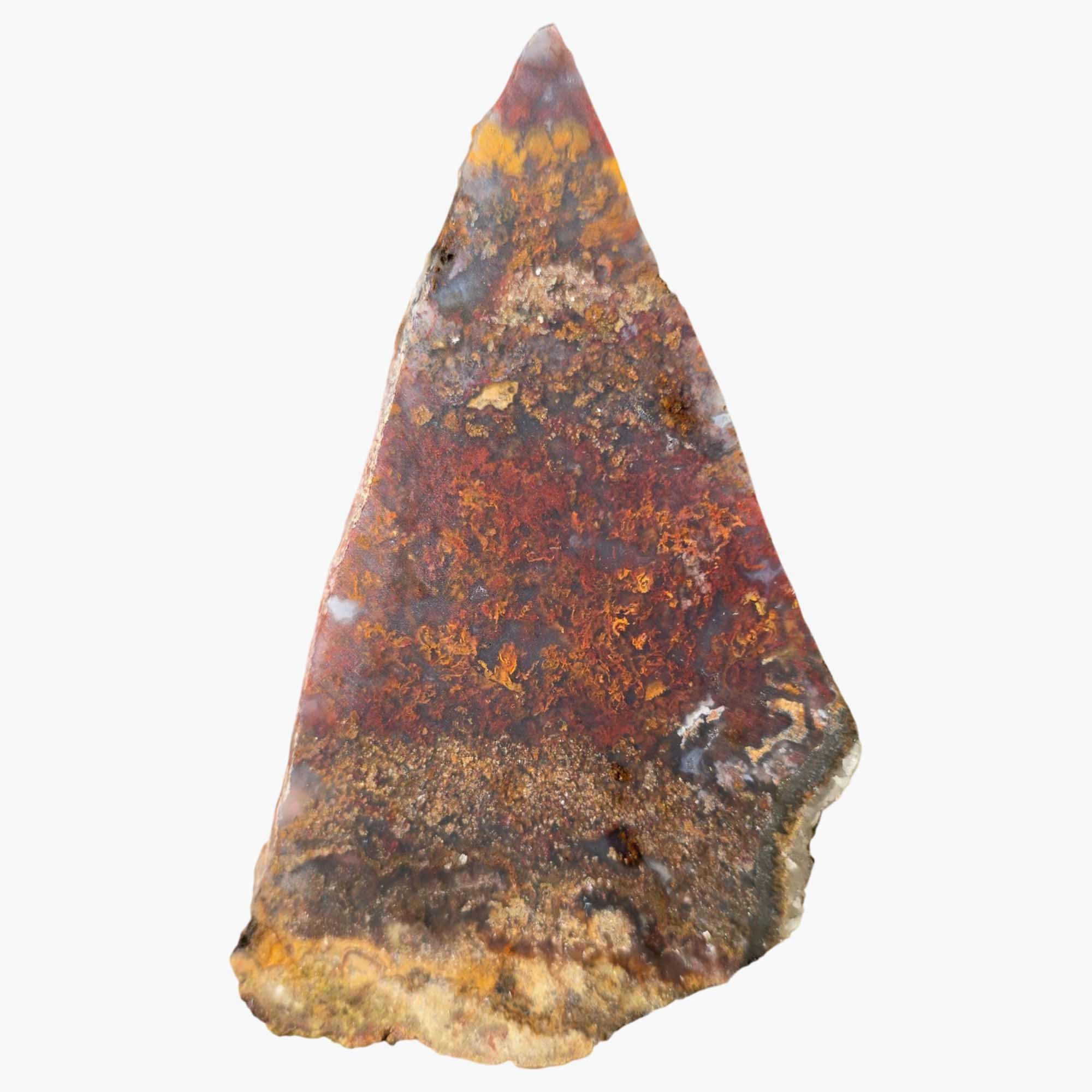 San Carlos Agate Slab Vibrant Red Moss and High-Contrast Agate Pattern