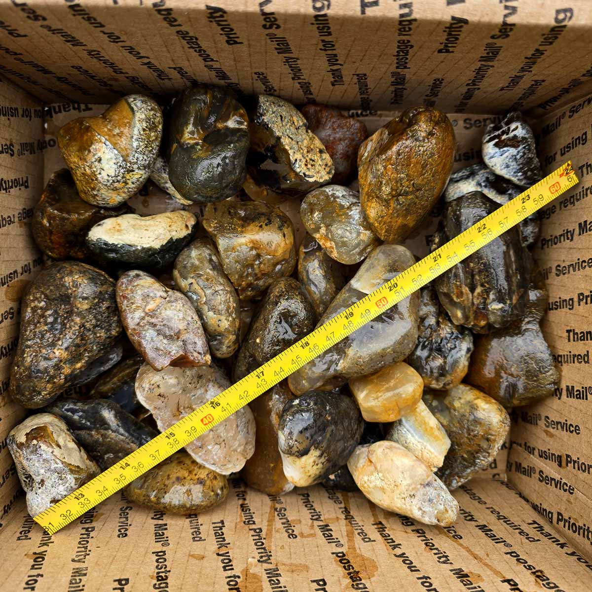 Rare Old Stock Montana Agate Lapidary Rough Flatrate