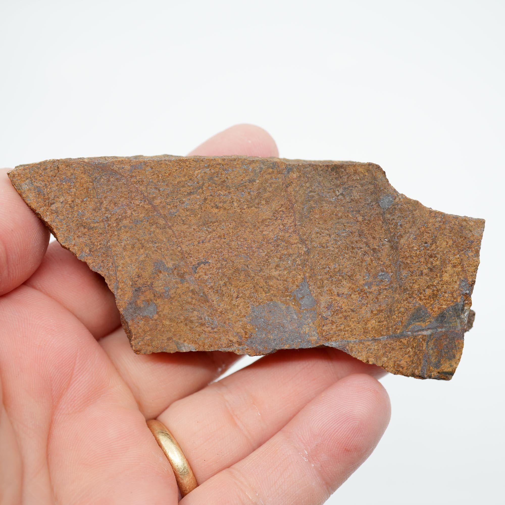 Bronzite Rough - Bronze Metallic Shimmer Display Piece