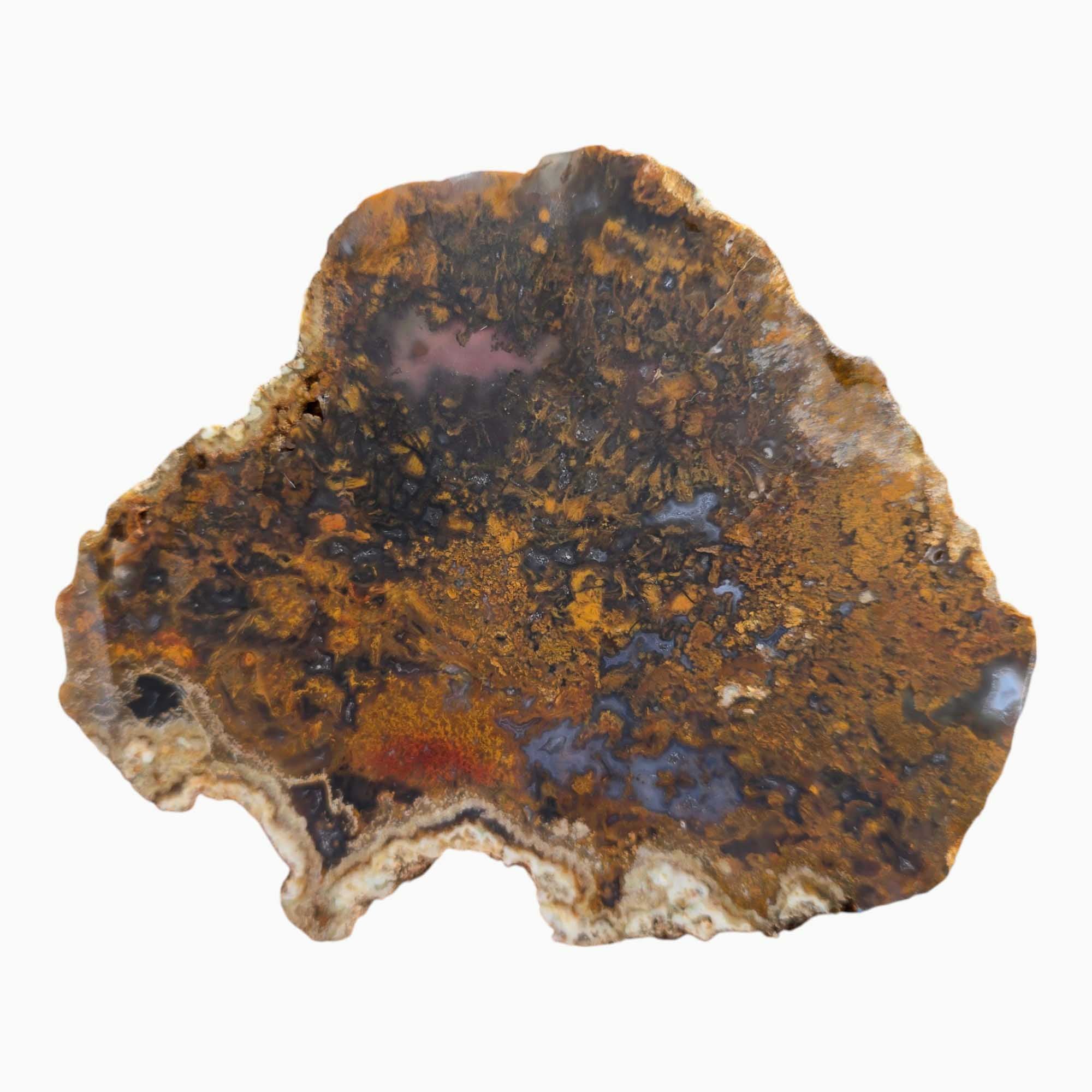 San Carlos Agate Slab – Mexican Cathedral Agate with Bold Banded Patterns