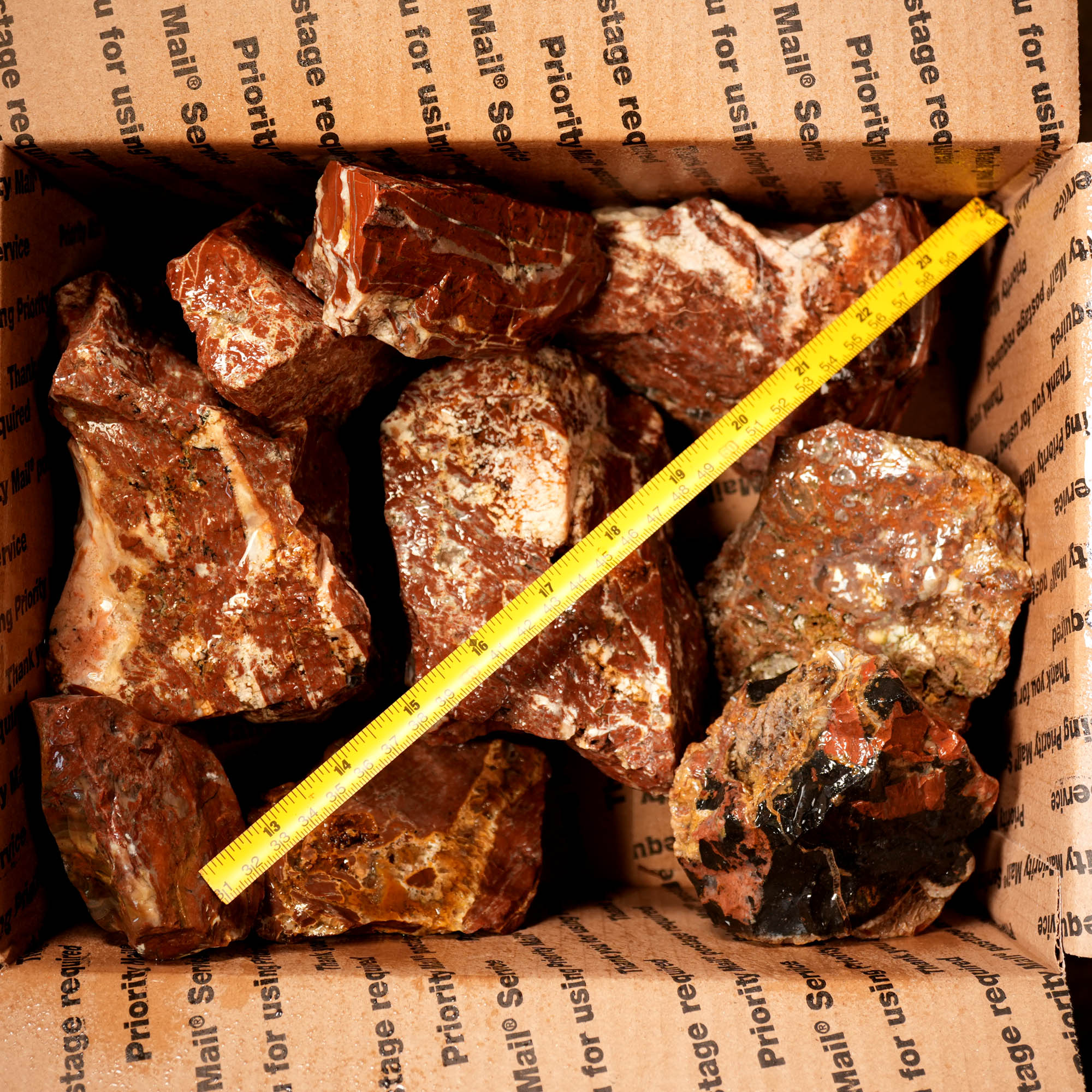 Eagle Rock Plume Agate Rough Flatrate - Multiple Varieties