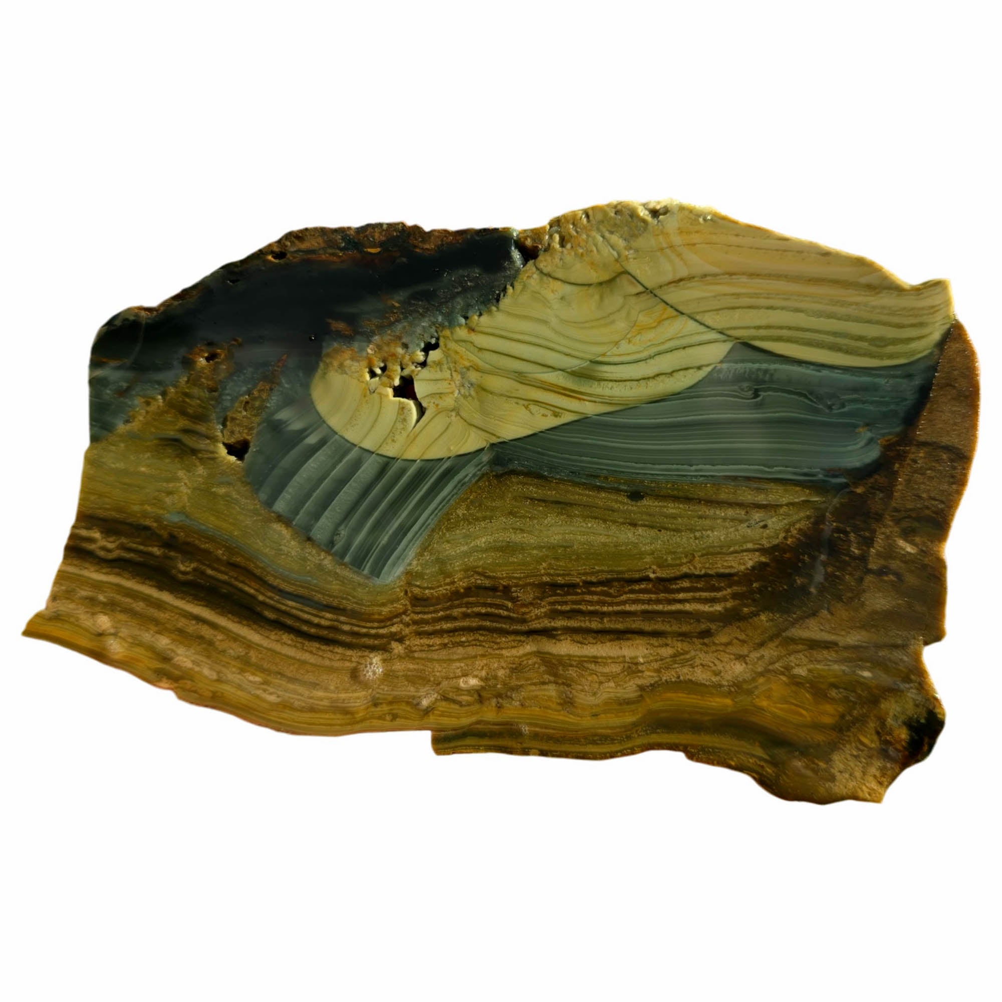 Blue Mountain Jasper Slab Dry – Paintbrush Strokes Orb Pattern Oregon #3761-Photo6