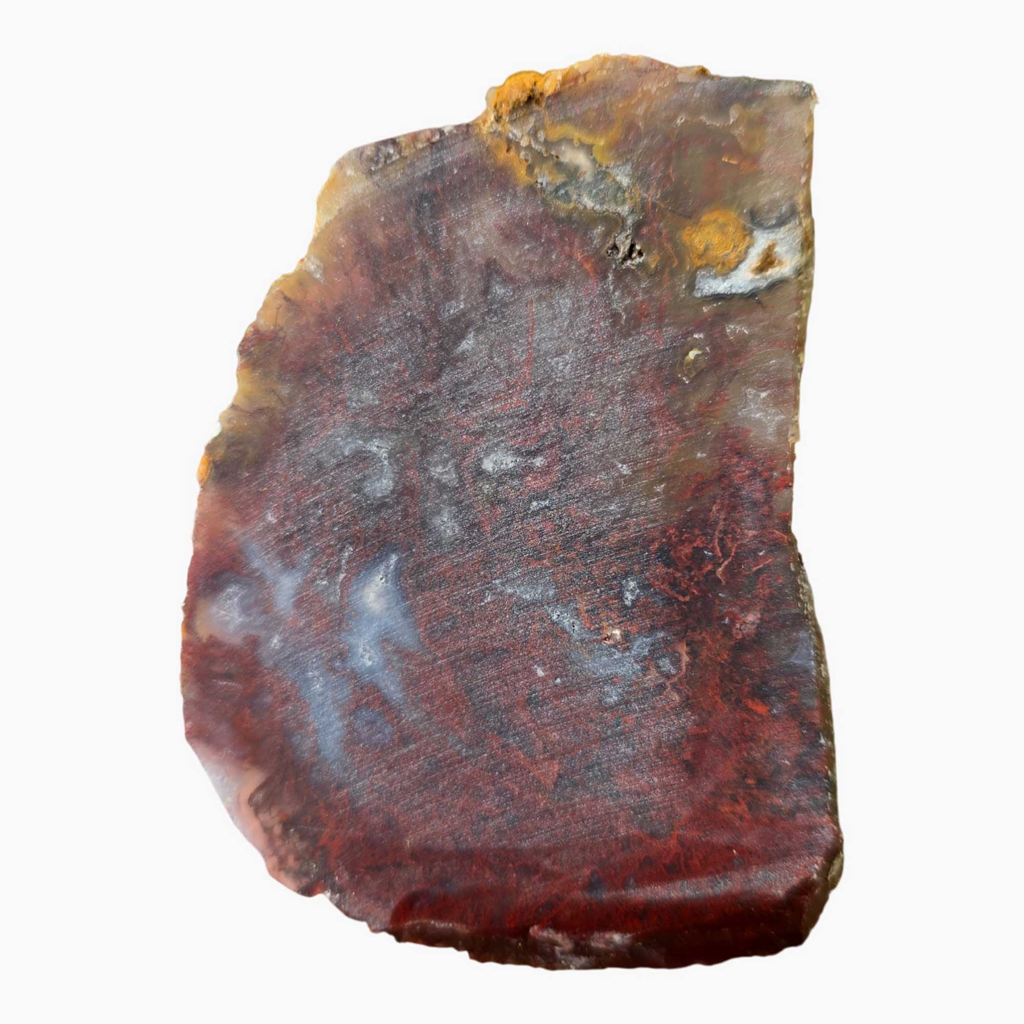 San Carlos Agate Slab Dry – Bright Red Moss Plume Mexico #3668-Photo4