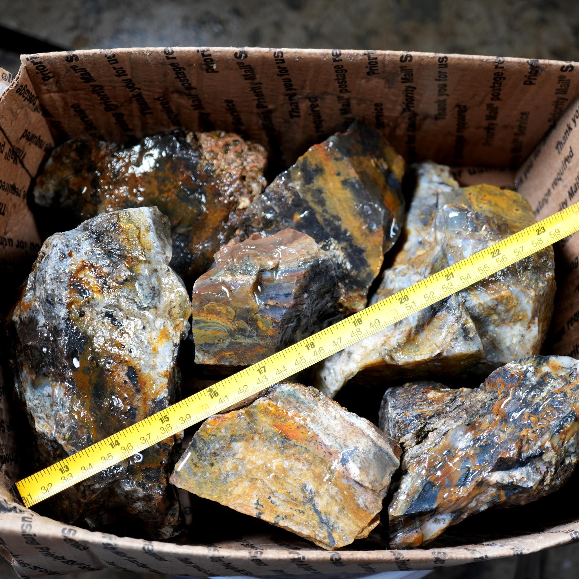 Ochoco Sunset Jasper Rough Flatrate - Rare Oregon Variety Box