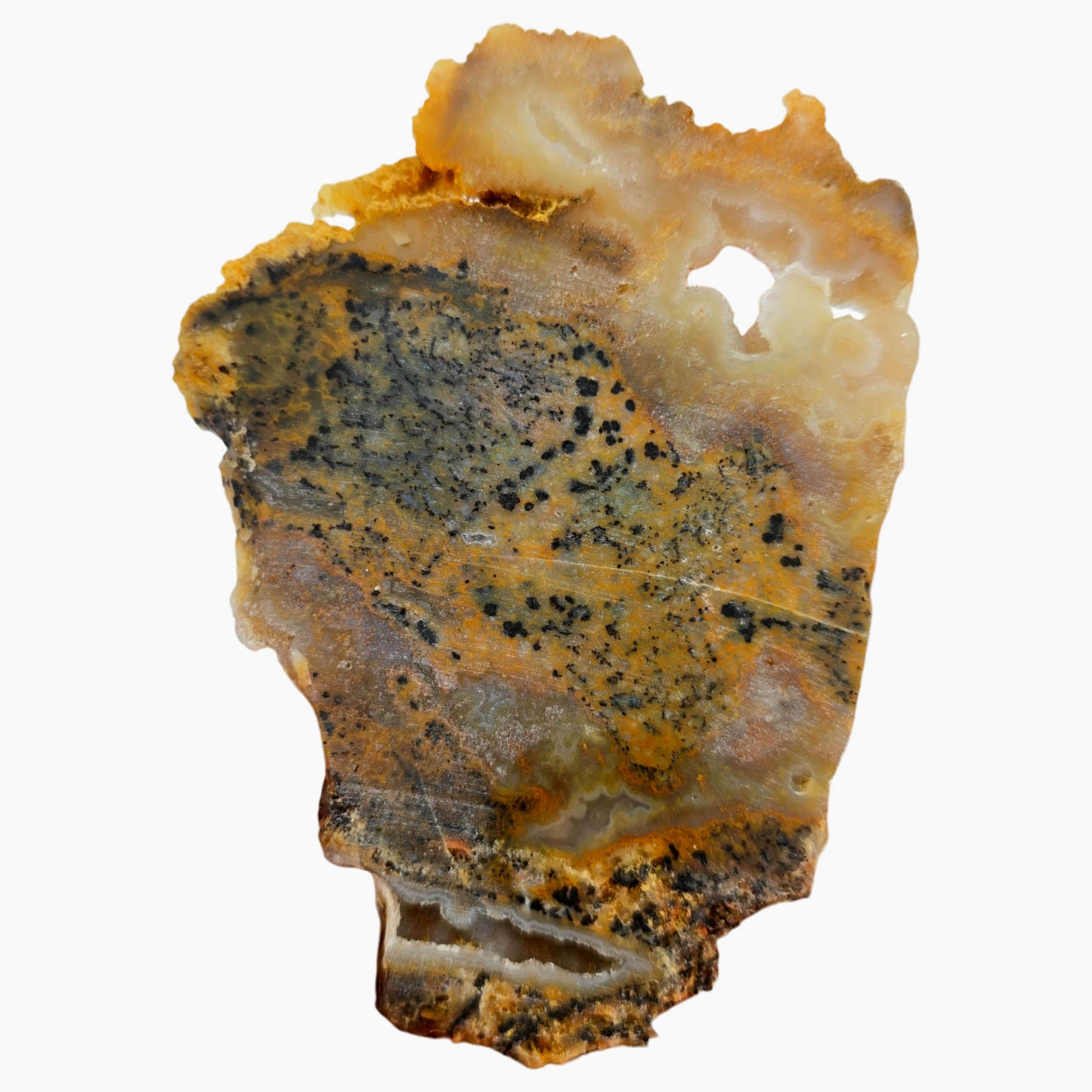 Cheetah Stone Slab Dry – Classic Spotted Pattern Blue Druzy Pocket Brazil #3895-5