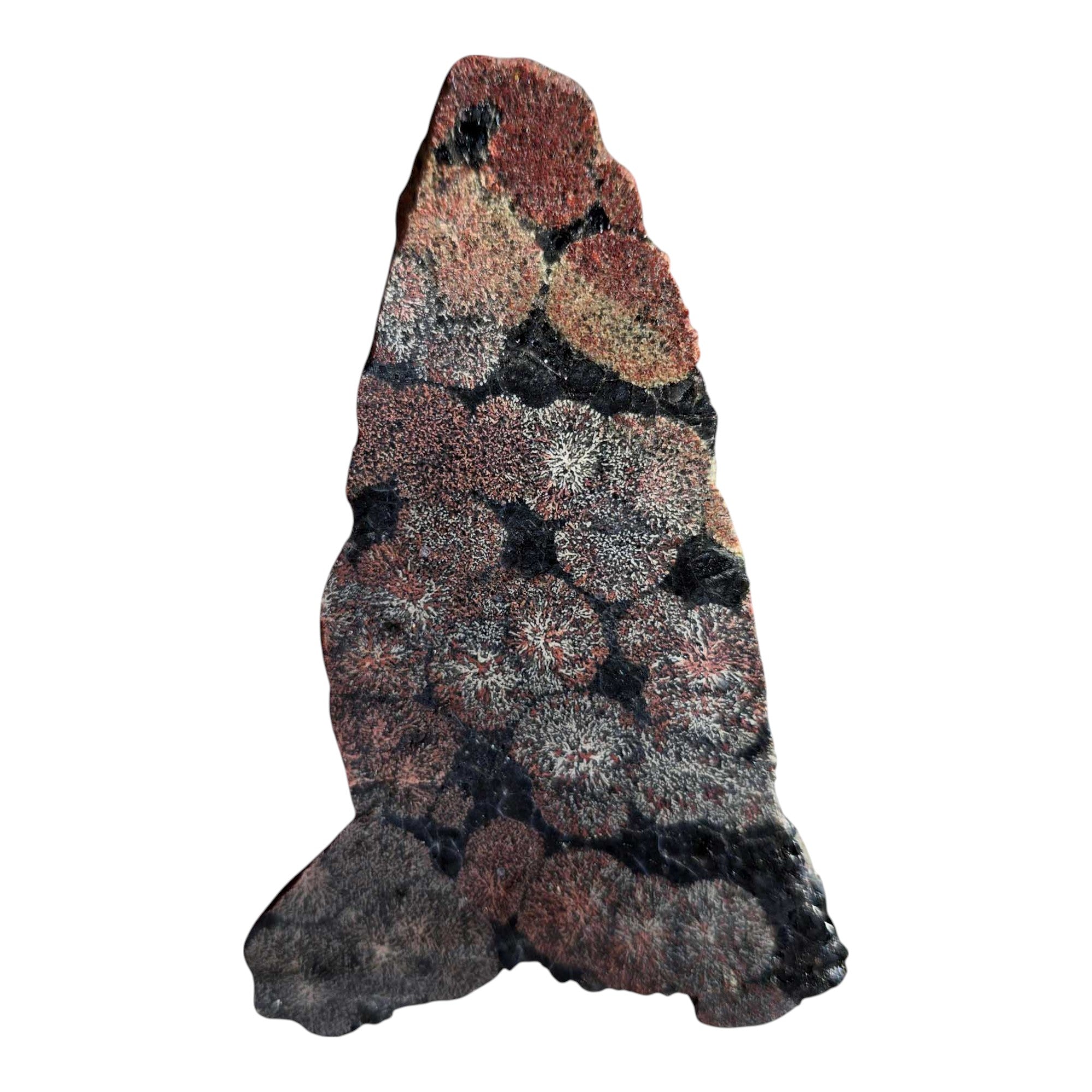 Fireworks Obsidian Slab – Colorful Patterned Volcanic Glass from Mexico