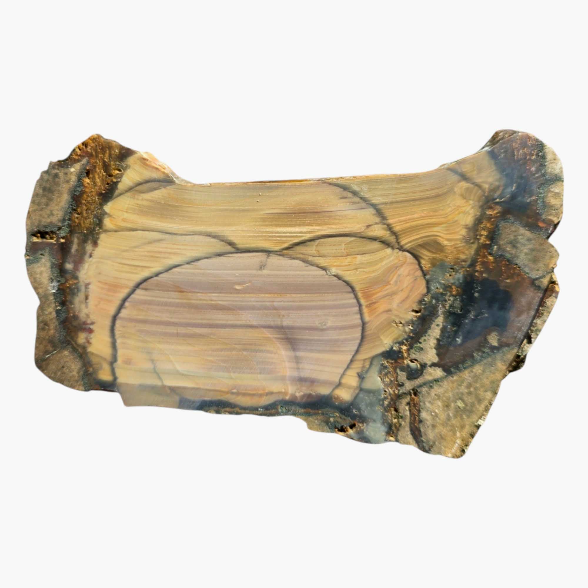 Blue Mountain Jasper Slab with Orbs & Paint Stroke Pattern – 5x3 Cut