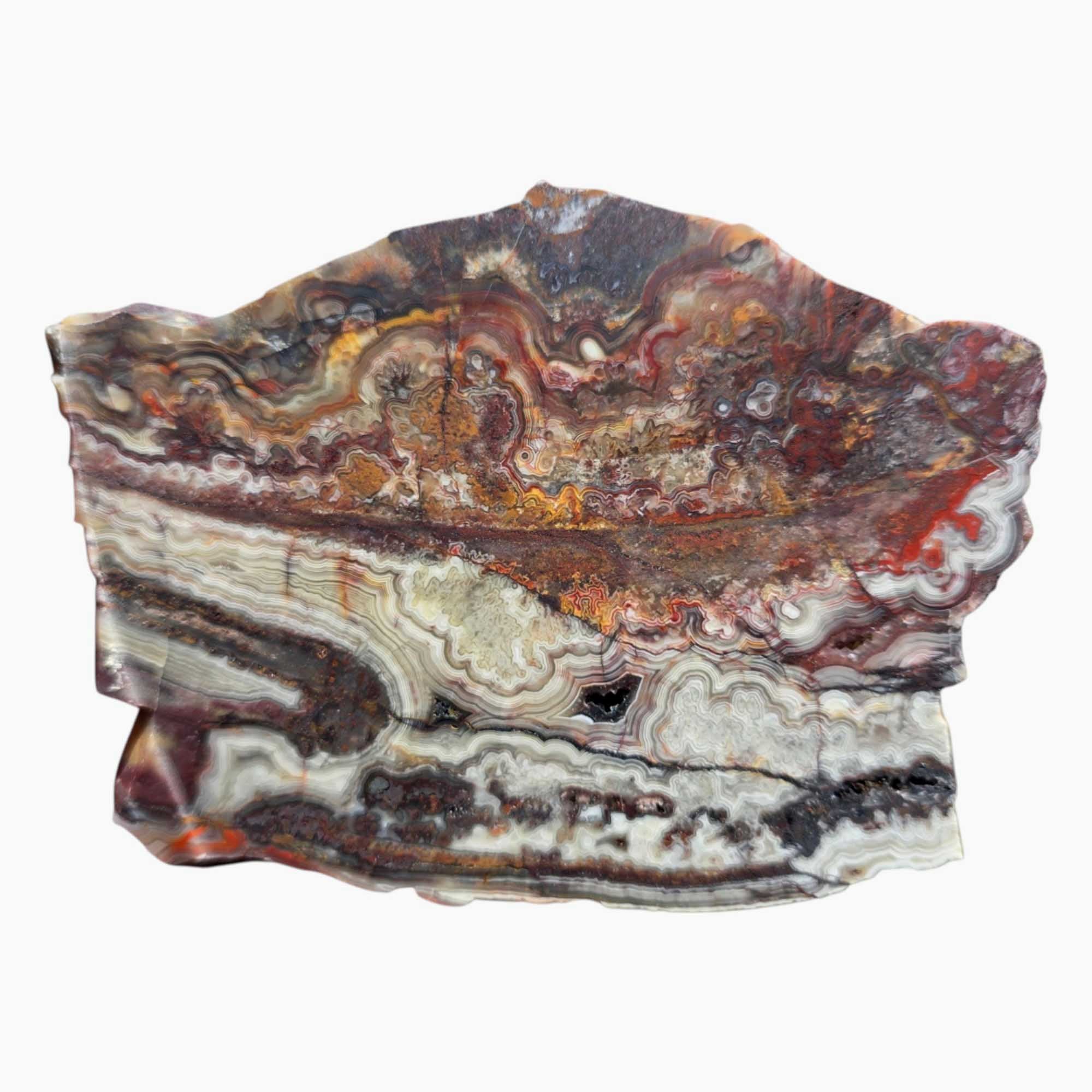 Crazy Lace Agate Slab – Fireworks Burst Pattern with Red Laguna Vein