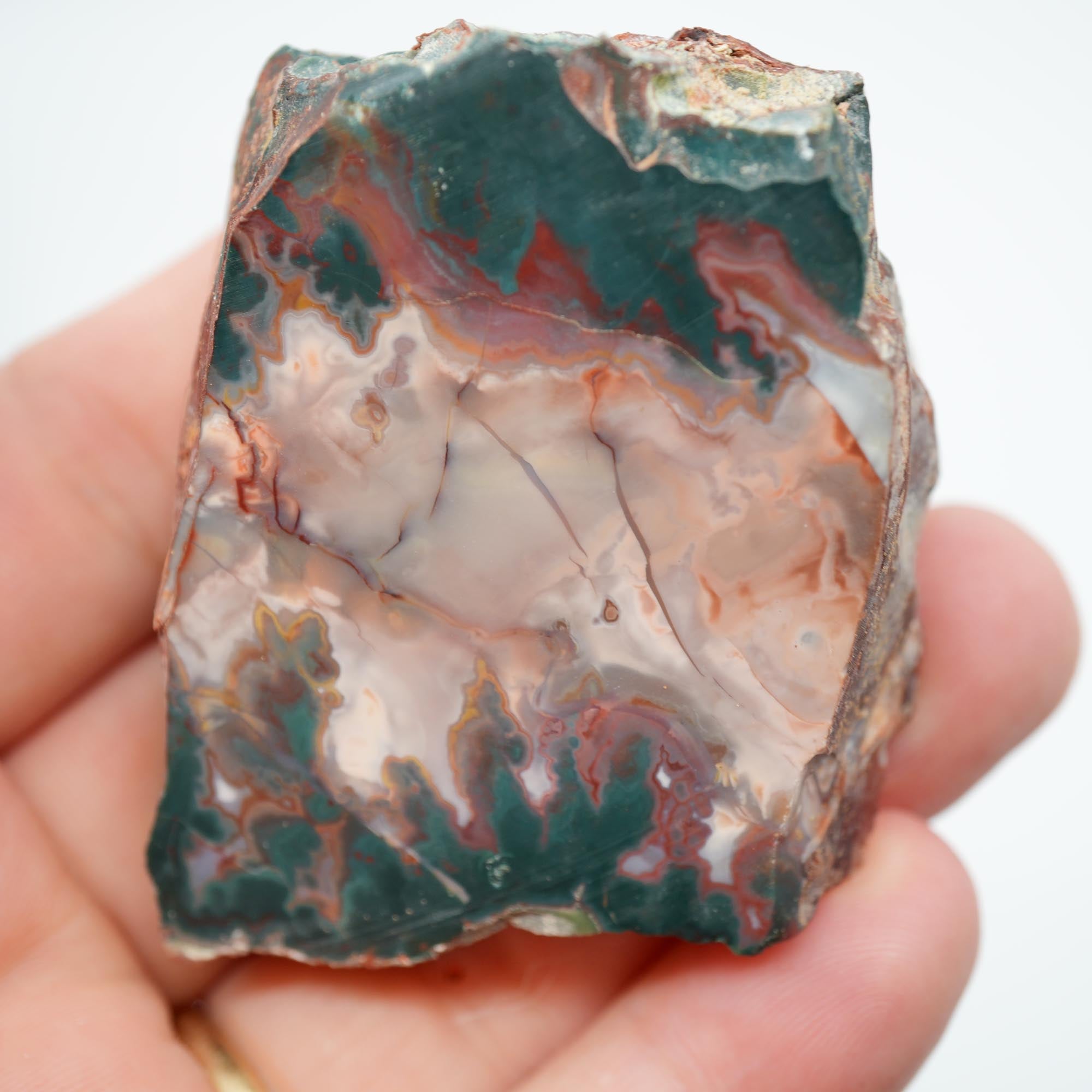 Idaho Sunset Jasper Endcut - Bright Green Plume with Sunset Red Display