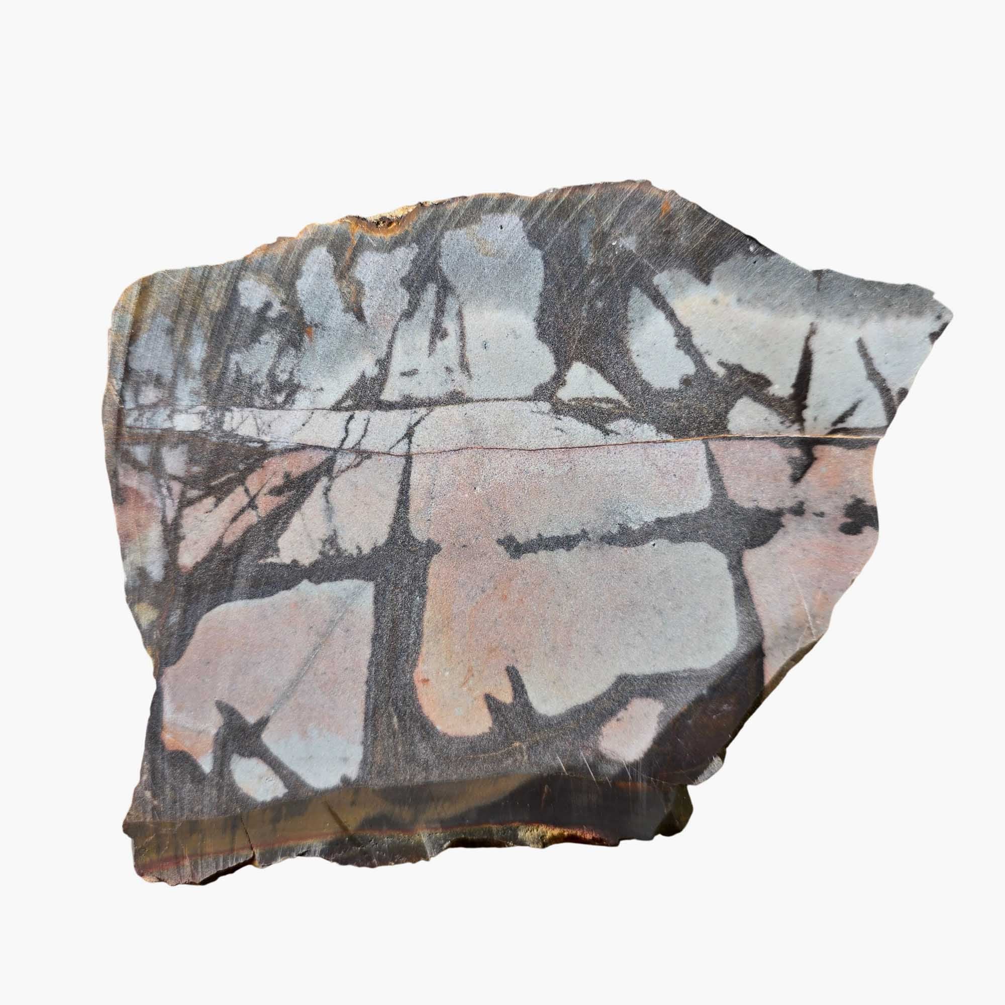 Outback Jasper Slab – Sunset Colors Dendritic Pattern – Western Australia