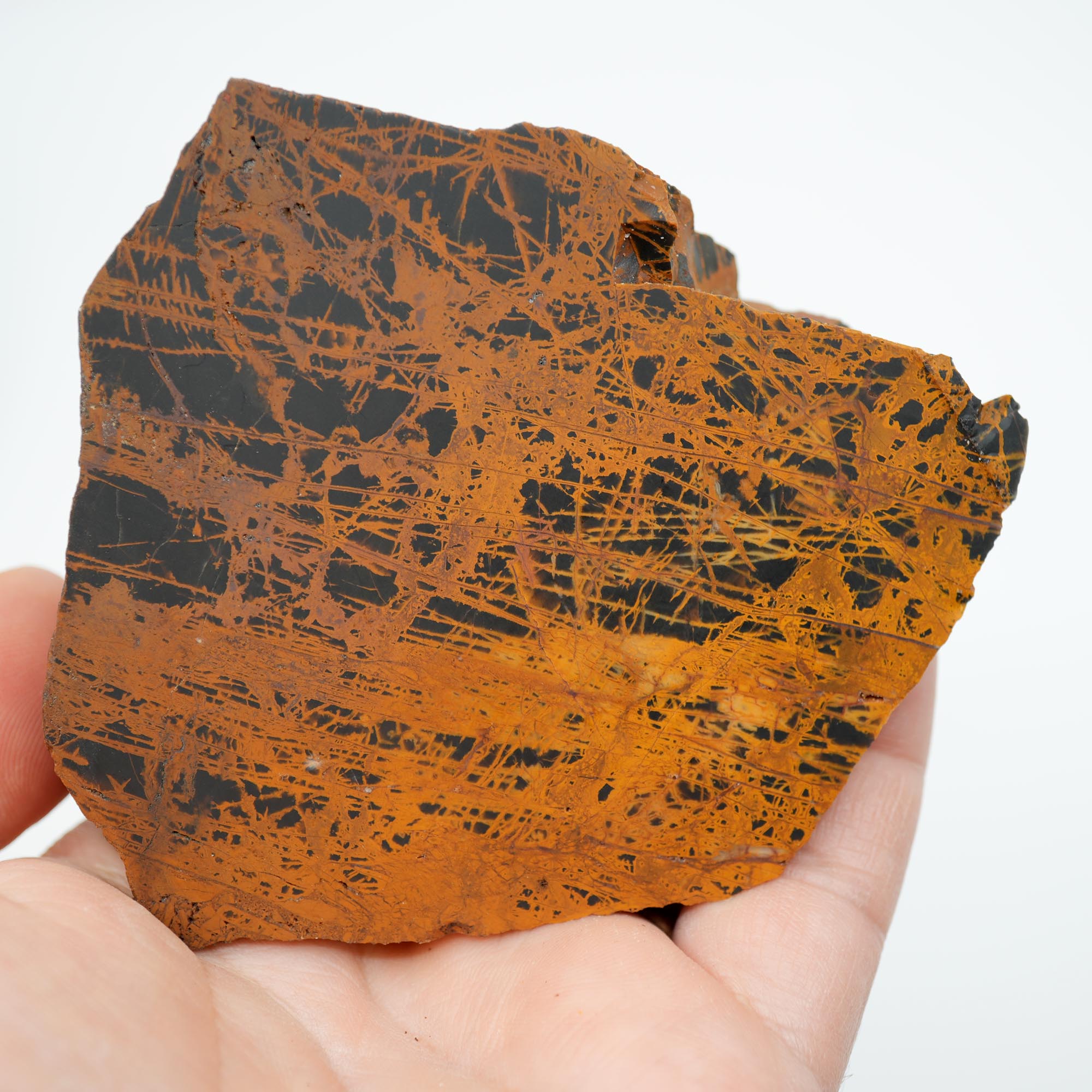 Pilbara Jasper Rough Cut and Proven - Coffee Cream Brecciated Block