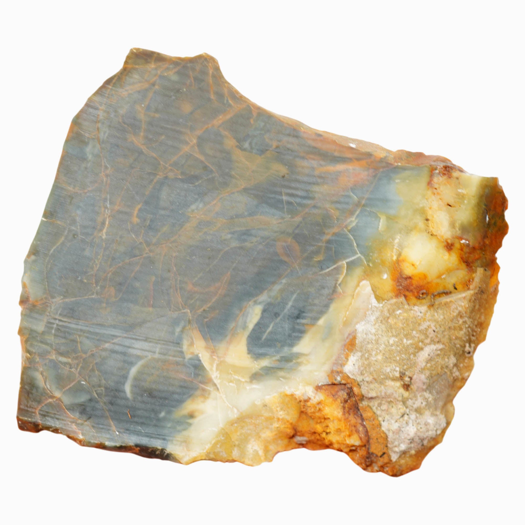 Morrisonite Jasper Slab Dry - Blue Butterscotch Orbicular Pattern Oregon #4009-5