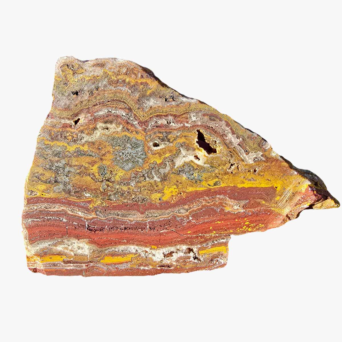 Apple Valley Jasper Slab Fossil Stromatolite Lapidary Stone Slice Cut Rock