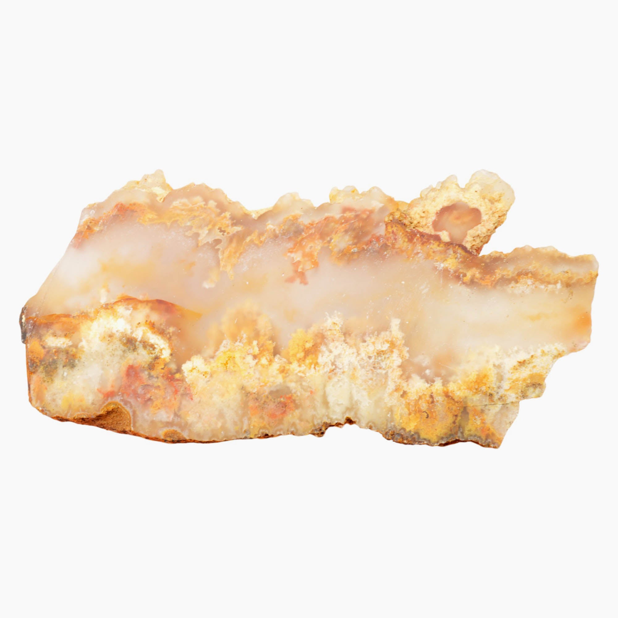 Regency Rose Plume Agate Slab Dry – Cloudy Alien Forest Red Plumes #4011-6