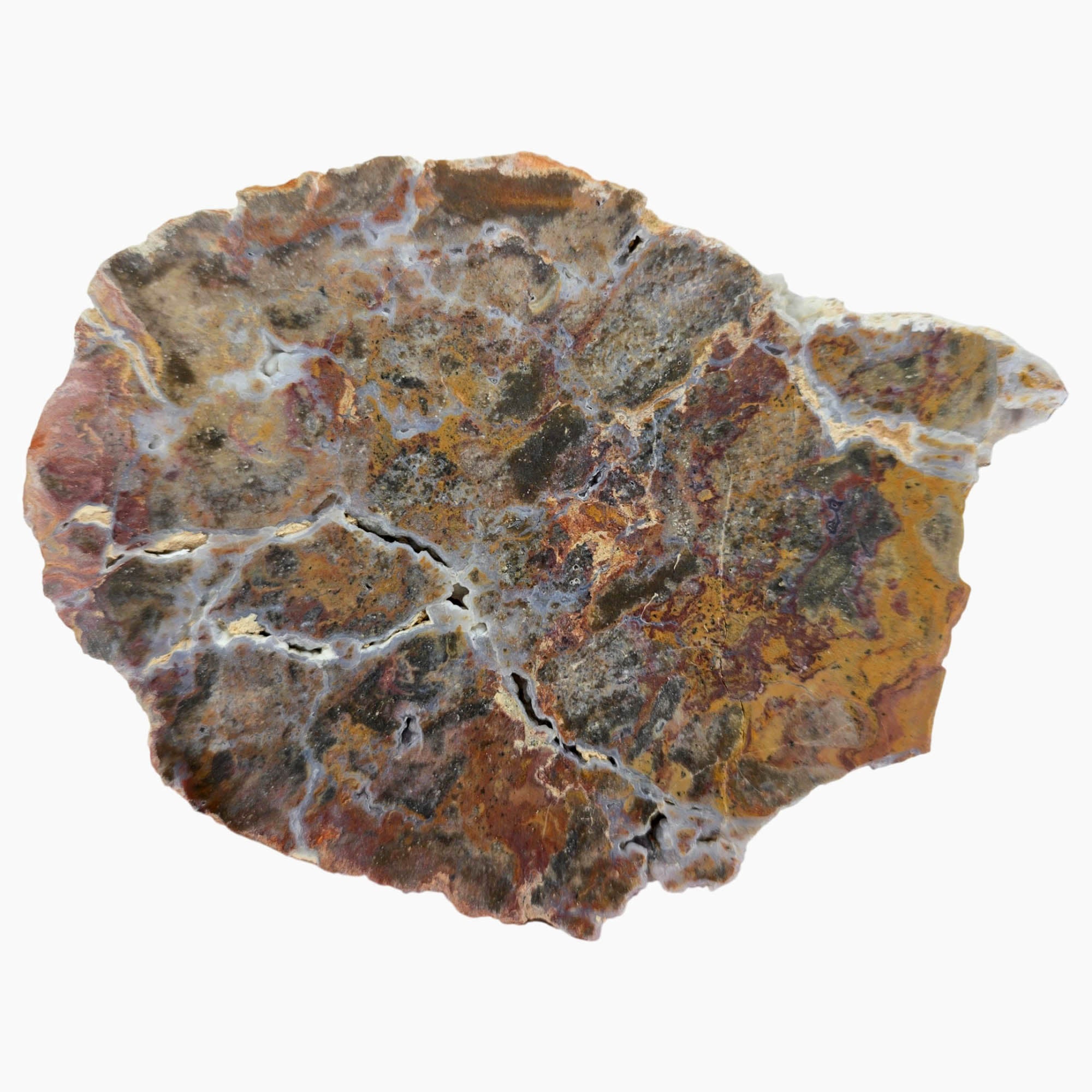Hidden Canyon Moss Jasper Slab - Blue Druzy Flowing - Utah Rare