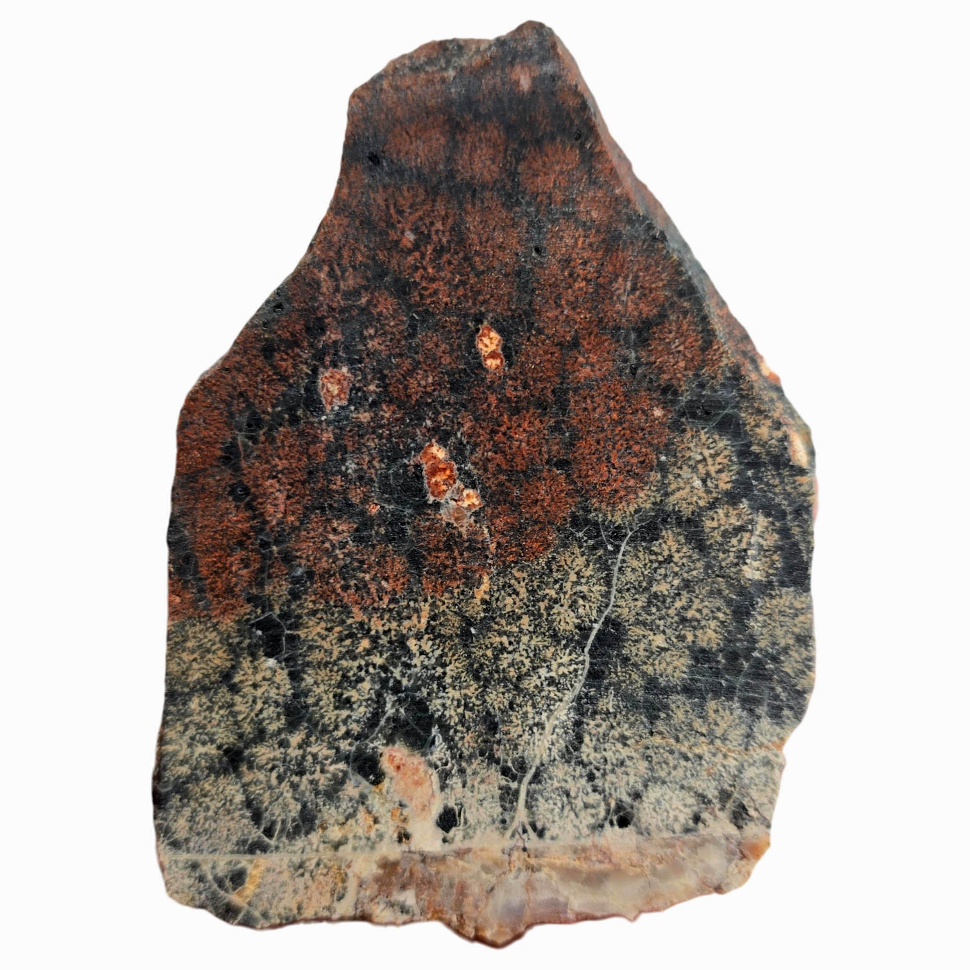 Flower Obsidian Slab Dry - Dual-Tone Black White Red Fireworks Pattern #3892-Photo5