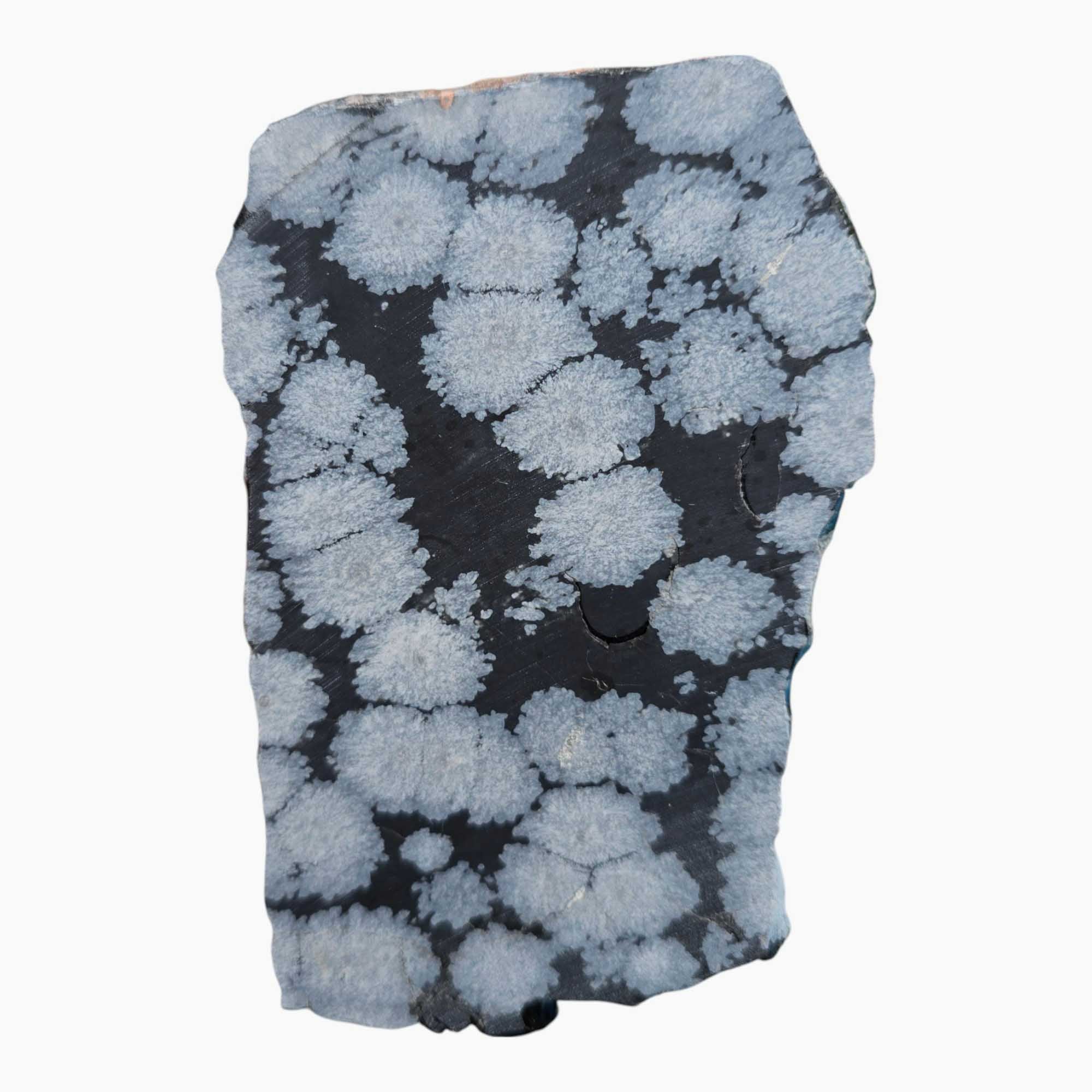 Snowflake Obsidian Slab – Gem Quality Material from Utah for Lapidary