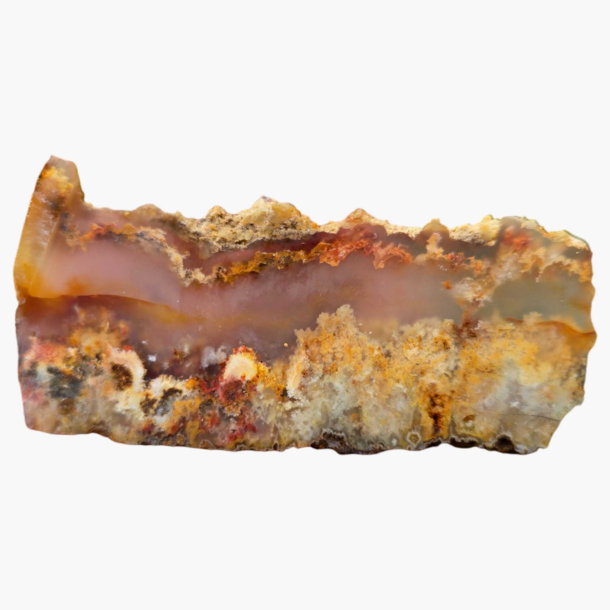Regency Rose Plume Agate Slab - Old Stock Transparent Agate with Plume Pattern