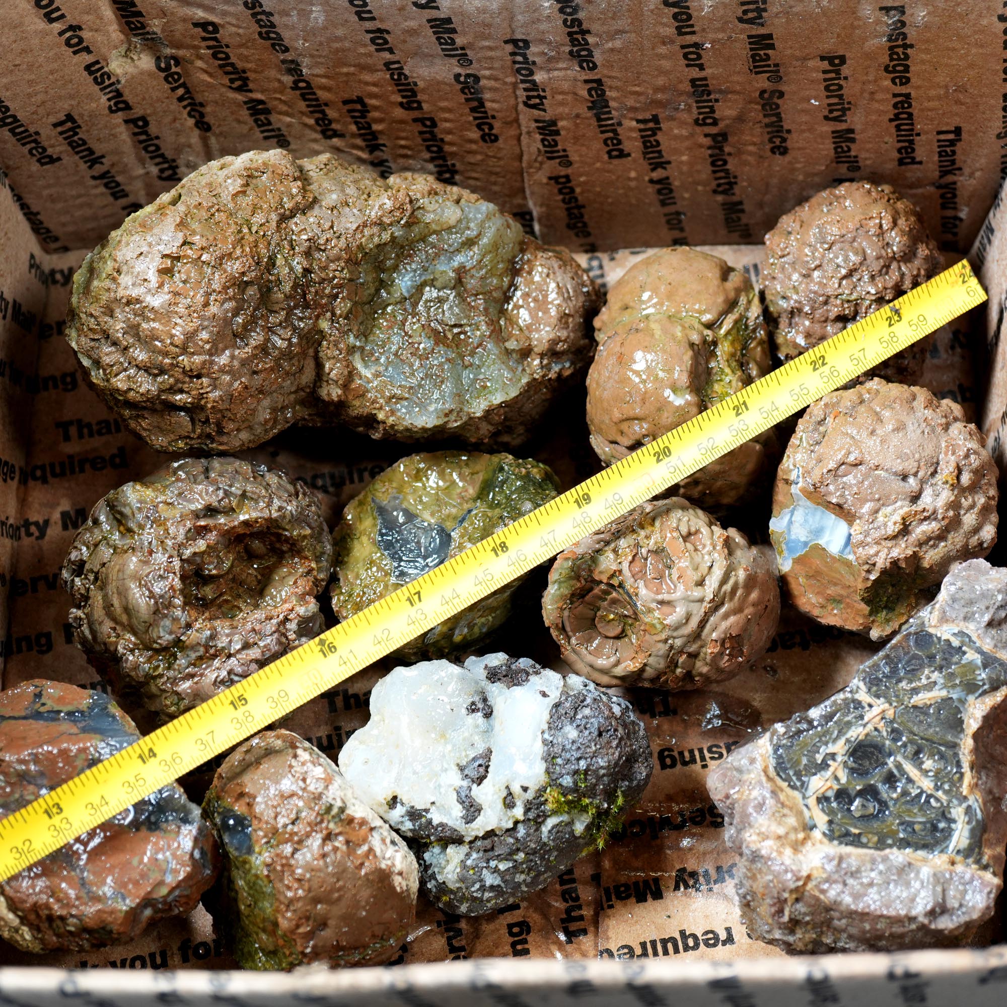 Old Stock Rare Mix Oregon Thunderegg Flatrate