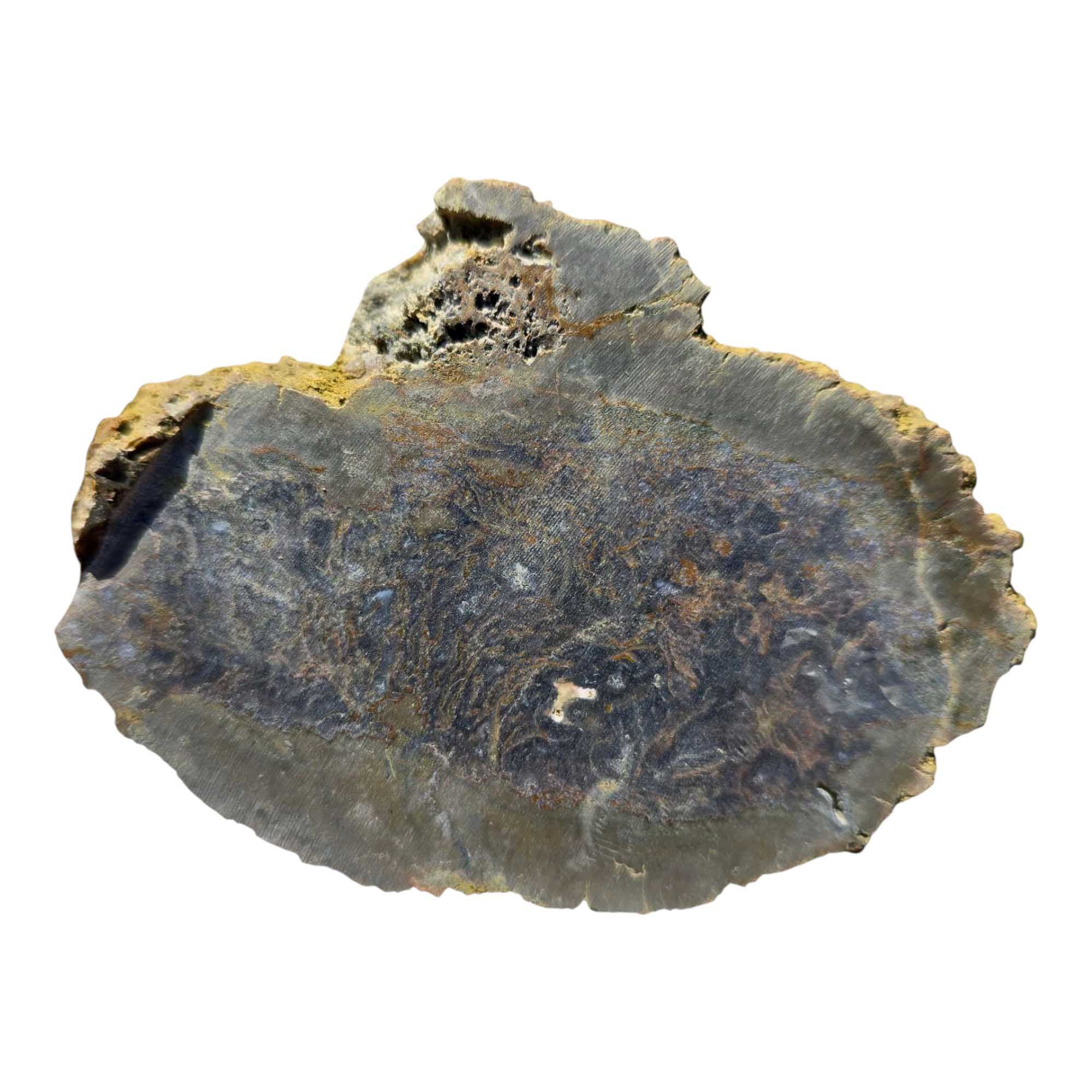 Priday Moss Bed Egg Rough Chunk Lapidary Stone Cut Face