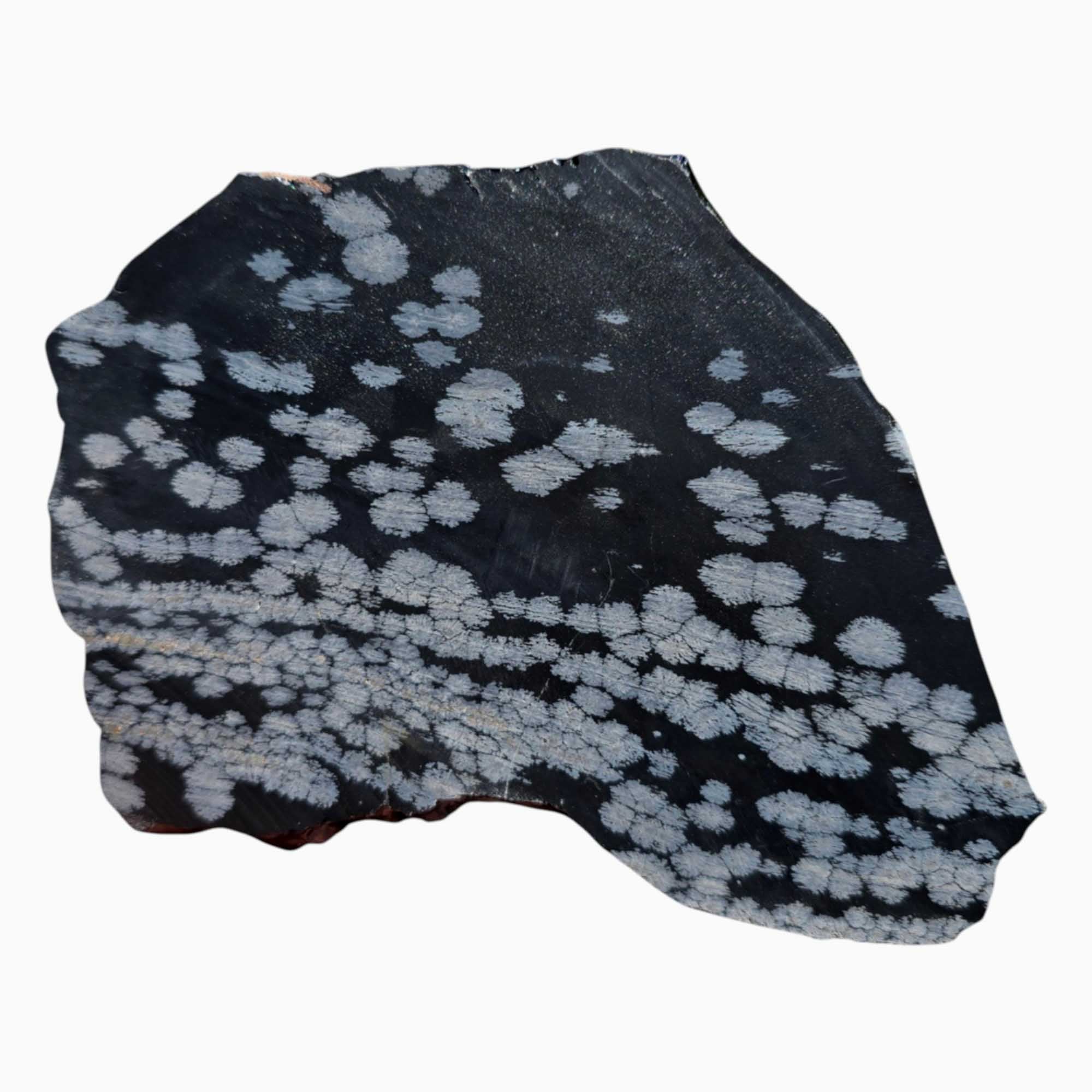 Snowflake Obsidian Slab – Large Cut with Bold White Crystal Patterns