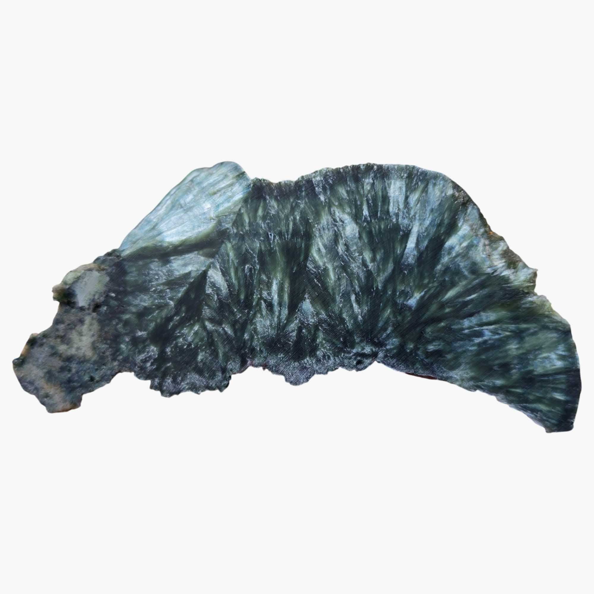 Seraphinite - Endcut Cut & Proven Green Feather Chatoyance Collector’s Piece