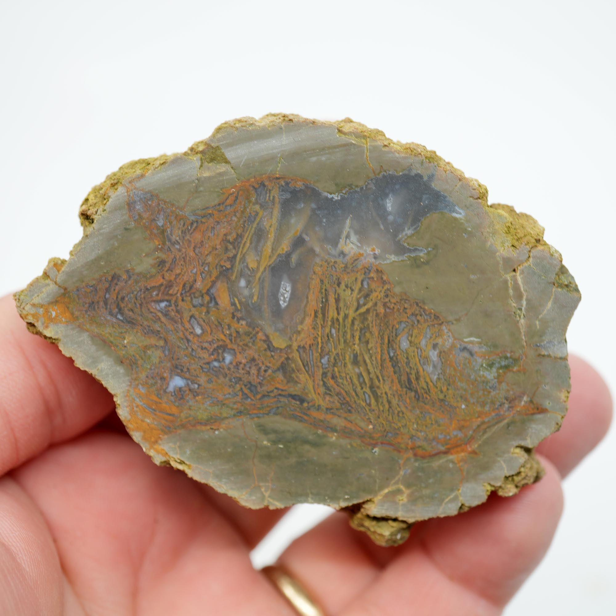 Priday Moss Bed Thunderegg Rough - Orange Stick Moss Cut on One Side