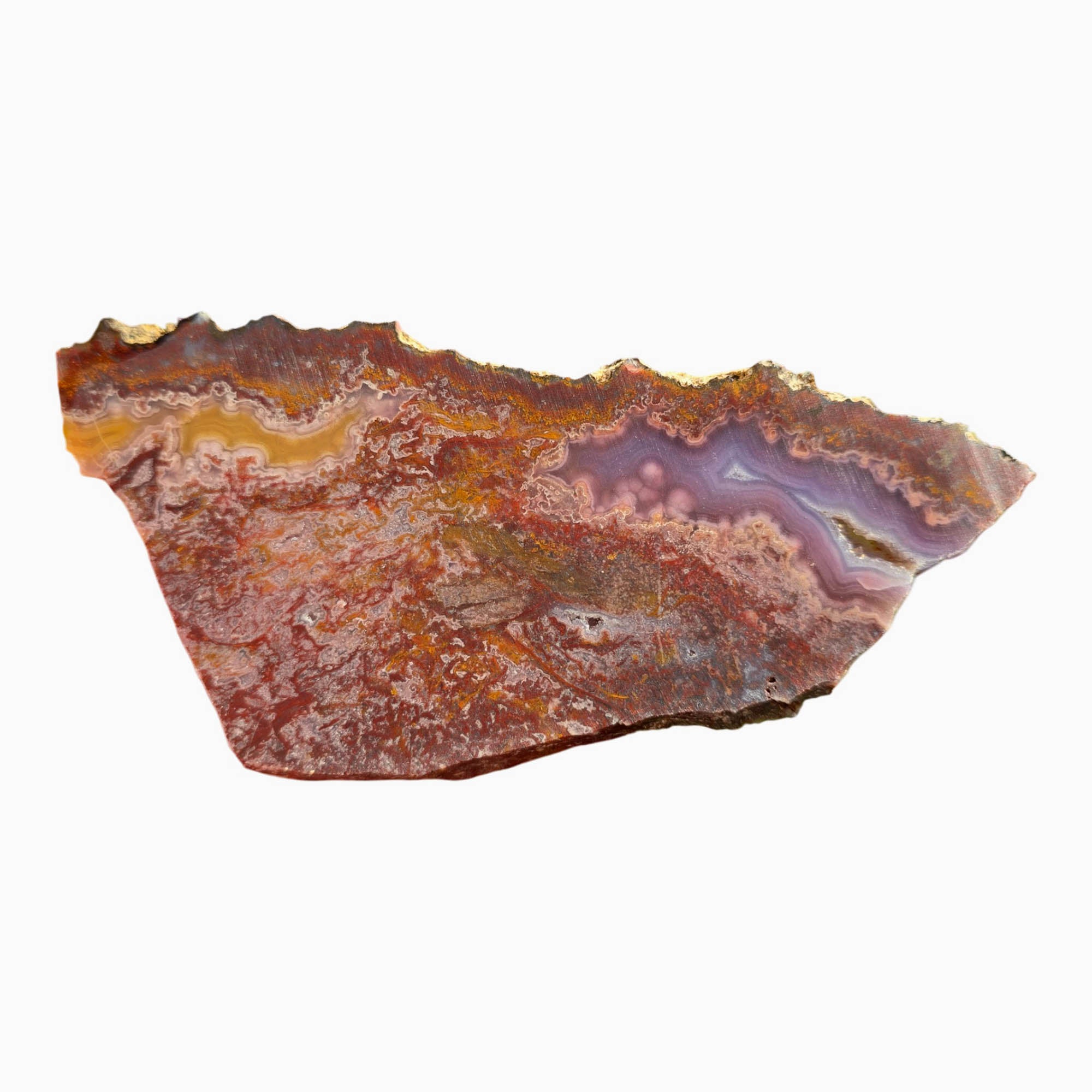 Agua Nueva Agate Slab Dry Purple Passion Golden Yellow Fortification #3721-Photo7