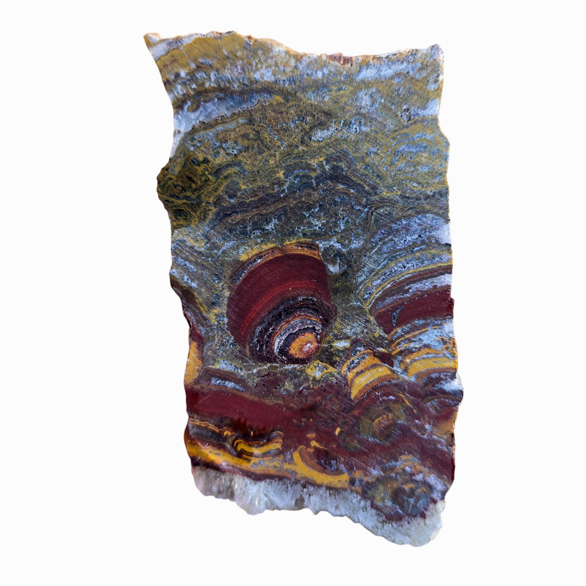 Hermatite Pattern Apple Valley Jasper Slab - Brushstroke Flowering - Stromatolite
