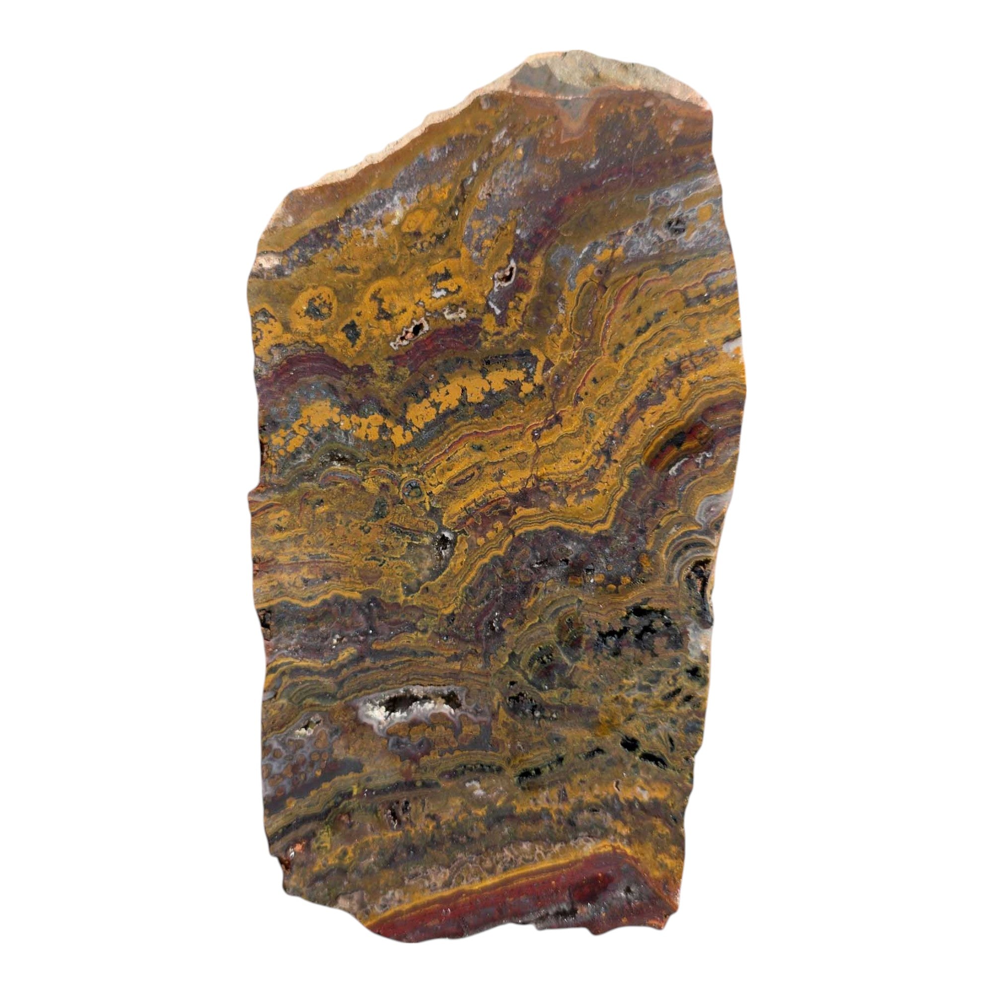 Apple Valley Jasper Slab – Fossil Stromatolite Lapidary Stone from Morocco