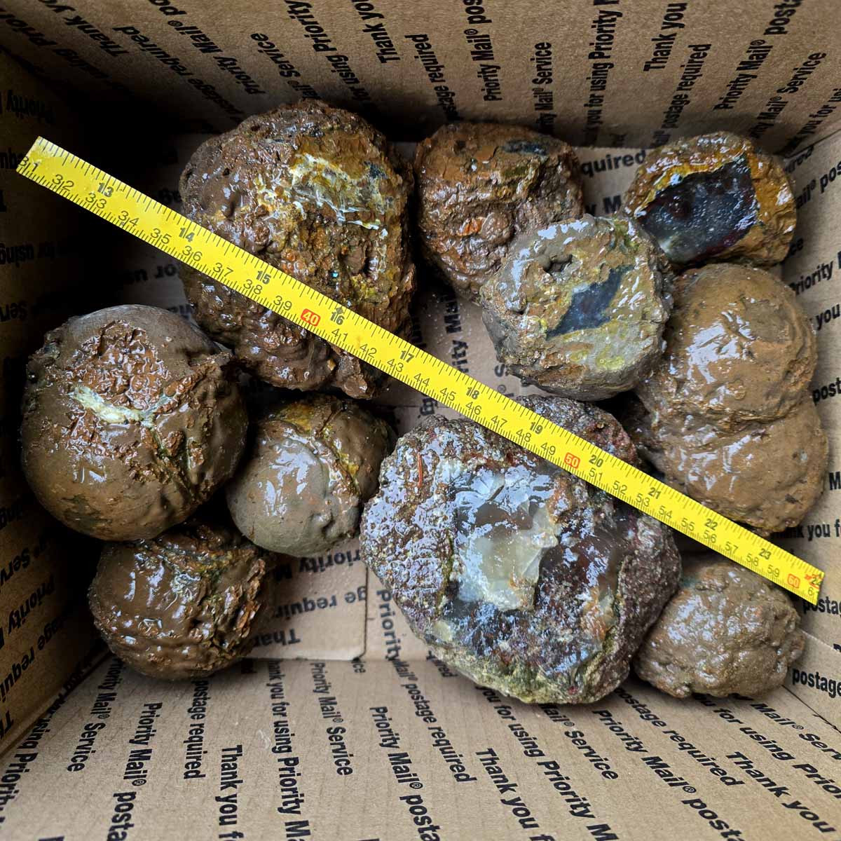 Old Stock Oregon Thunderegg Cutting Rough Flatrate Slicing Stones Rock Box